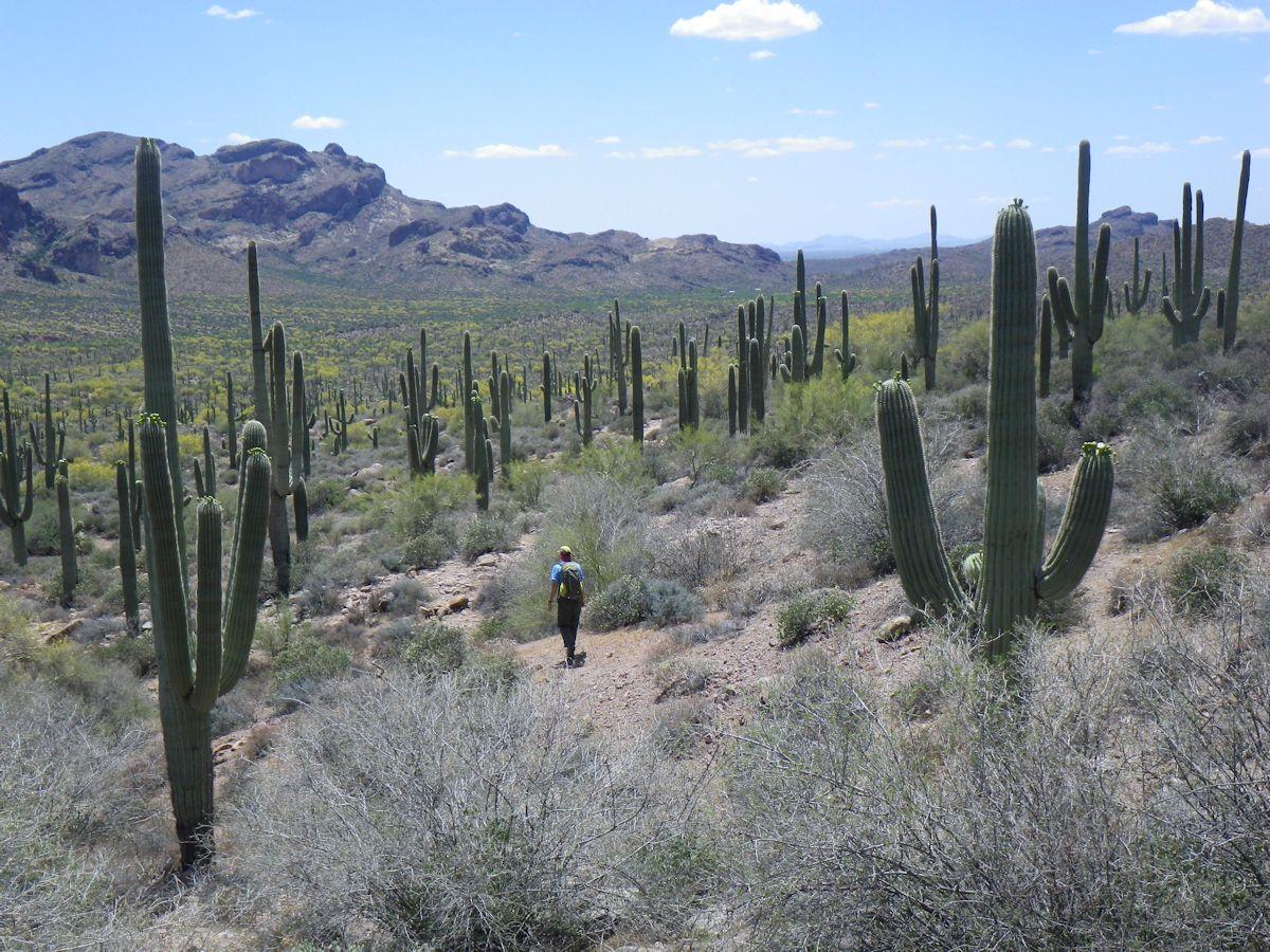 Superstition Mountains