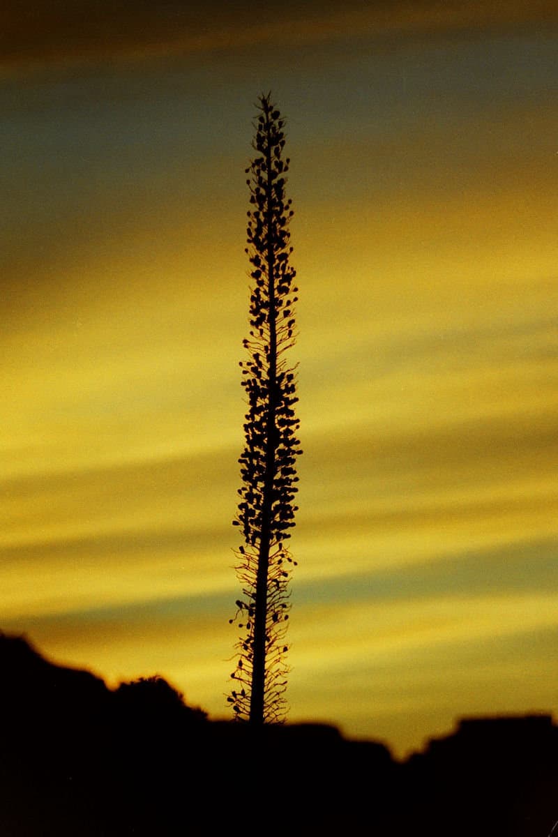 Grand Canyon National Park