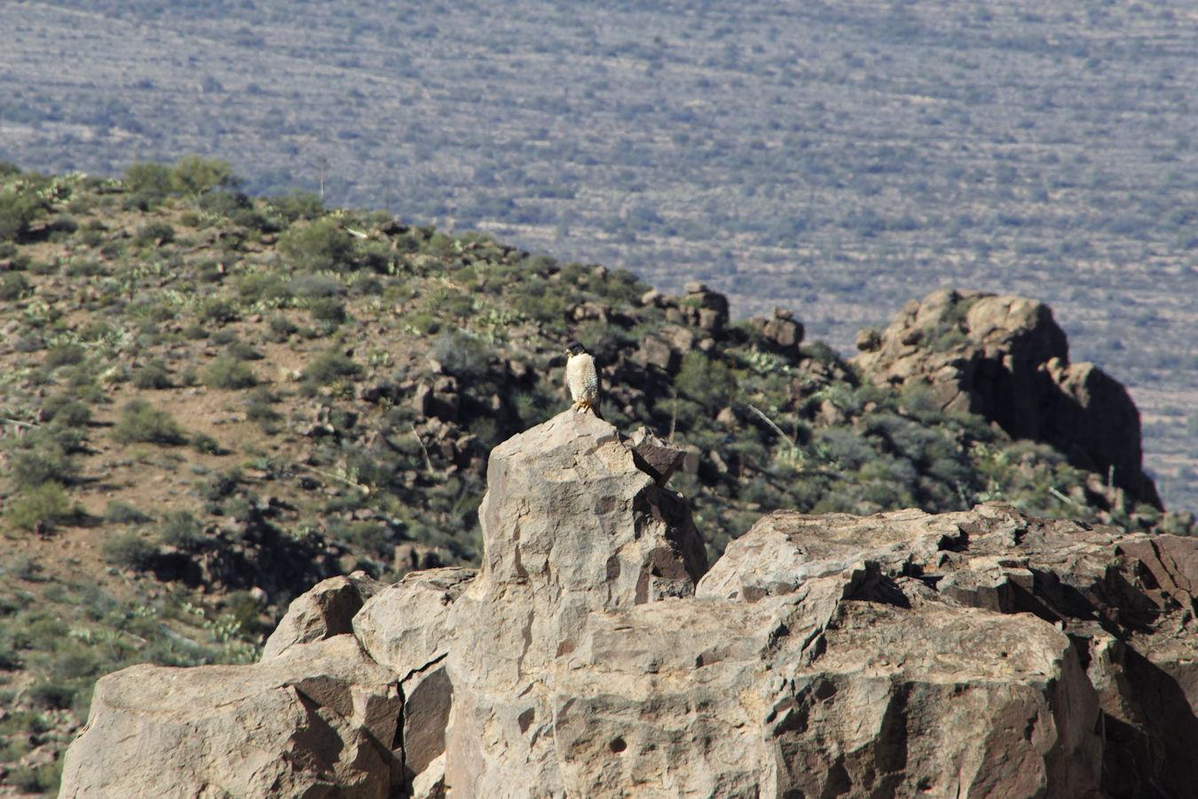 Superstition Mountains