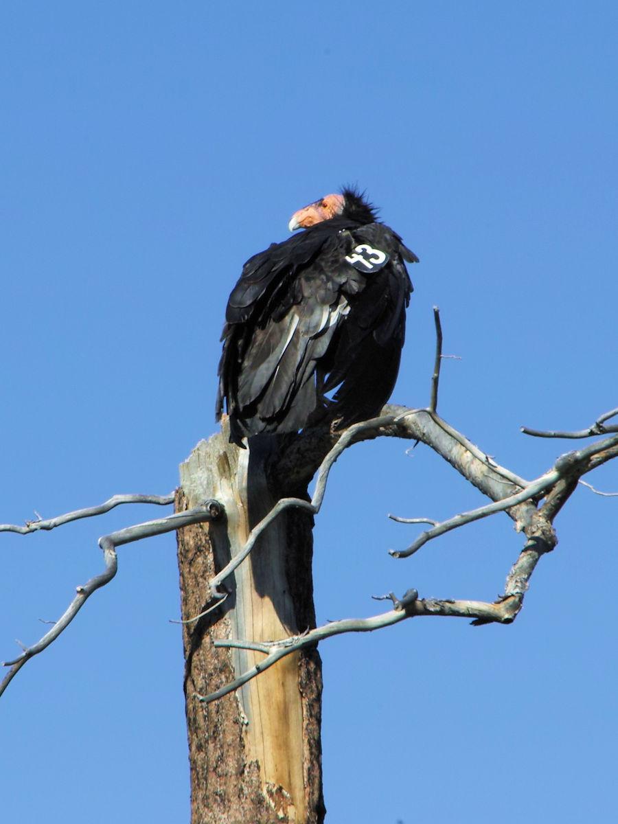 Grand Canyon National Park