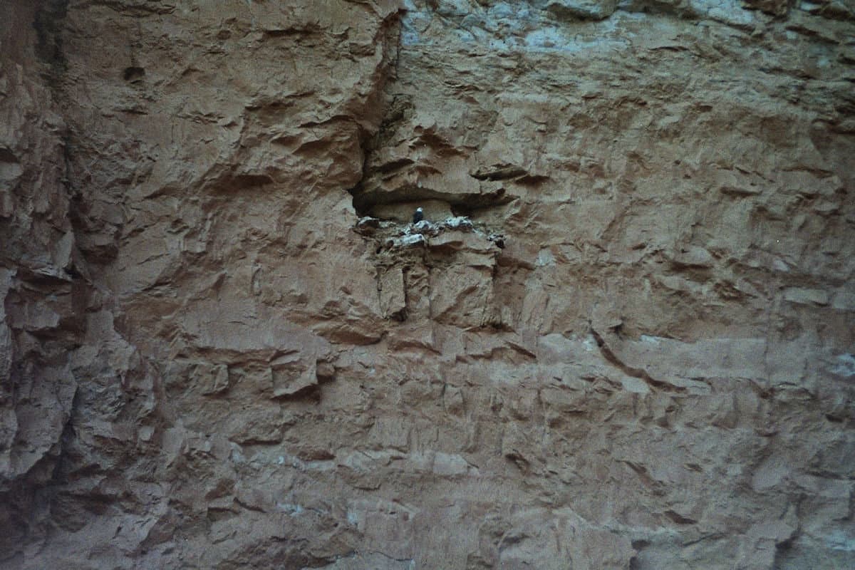 Grand Canyon National Park