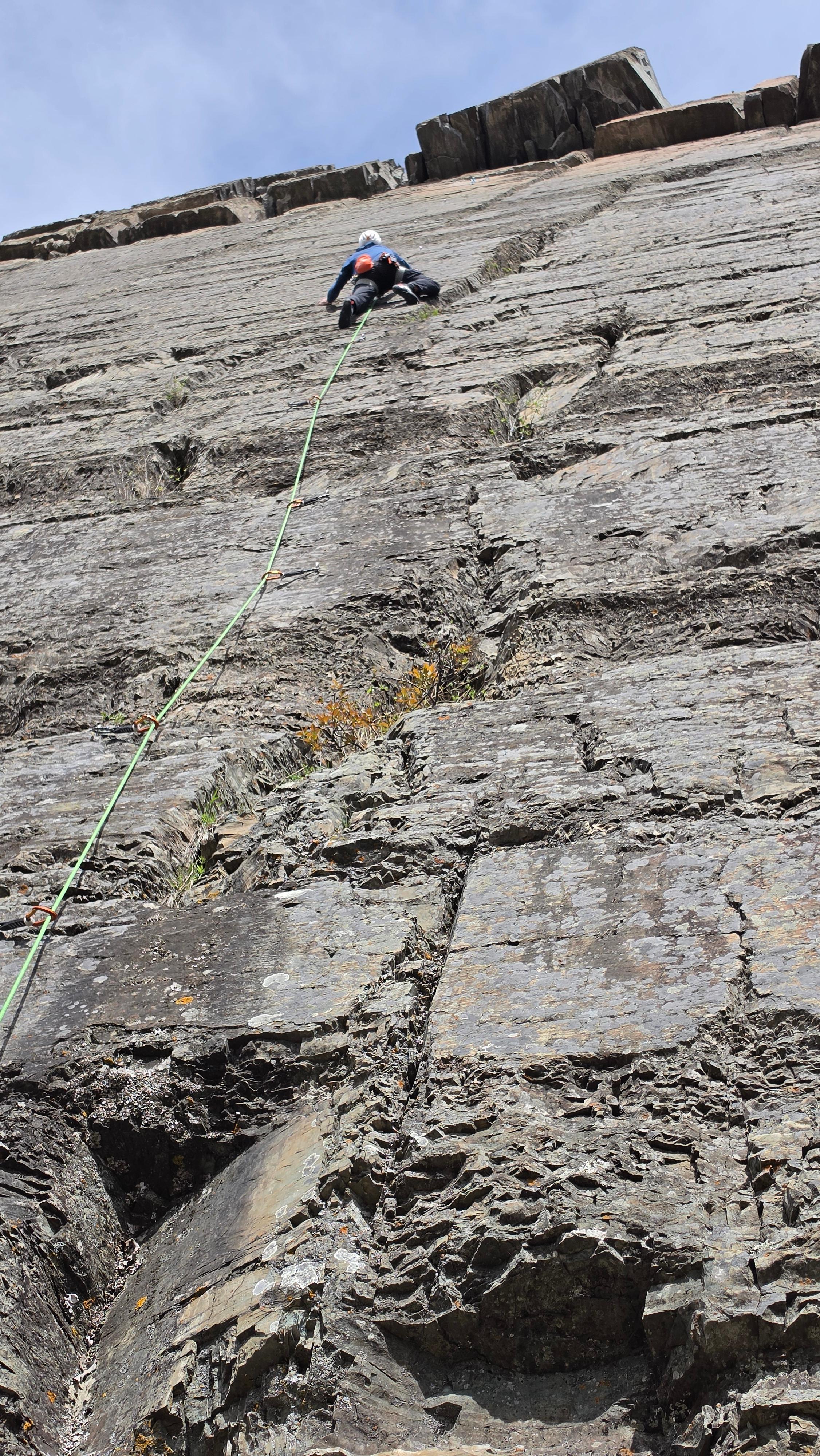 Bovinitis photo by JV406 at Montana Big Pie East