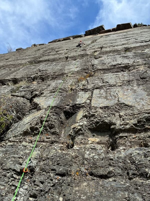 Bovinitis photo by JV406 at Montana Big Pie East