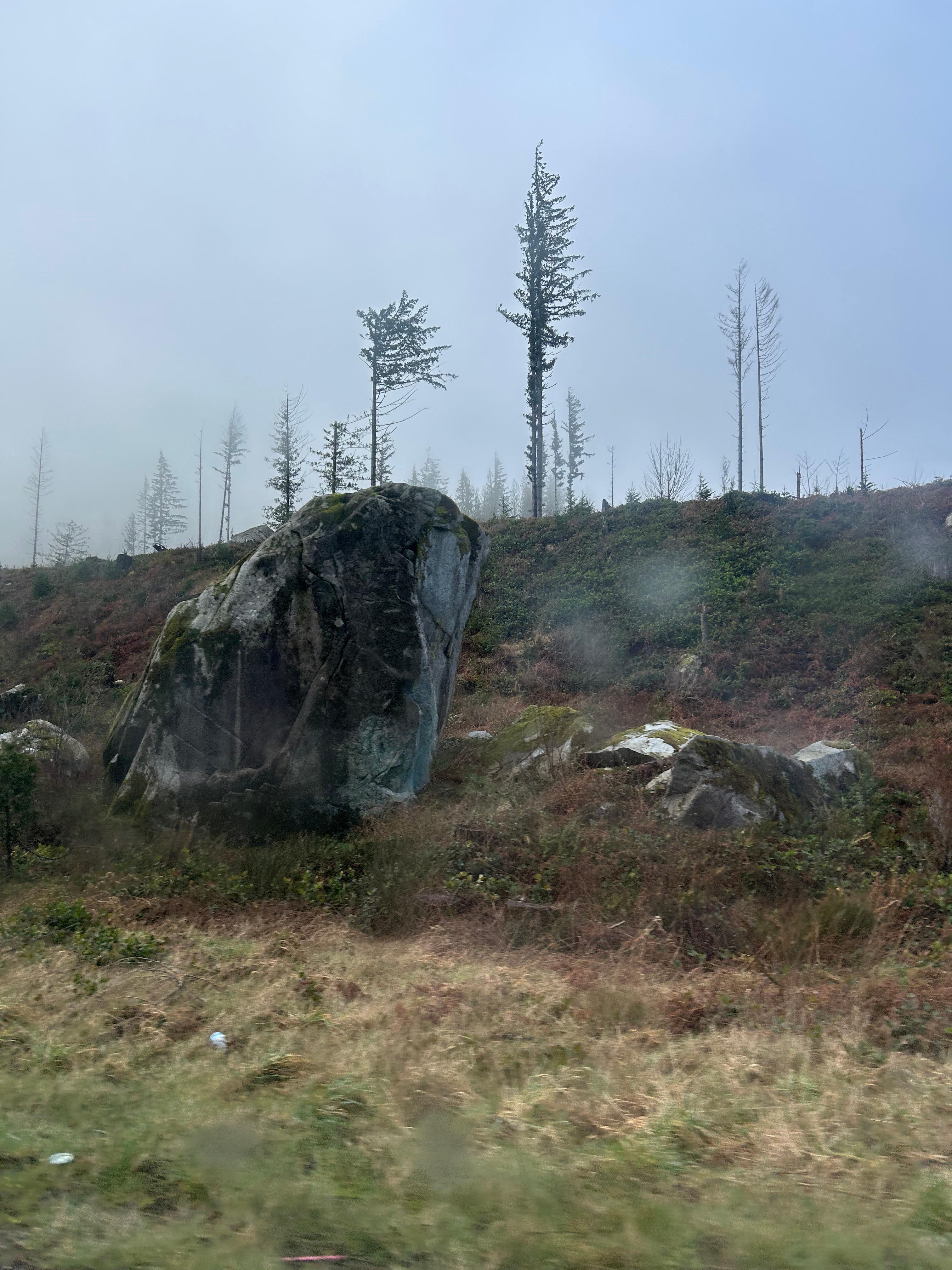 Climbing route photo by emilyg at Camp Serene
