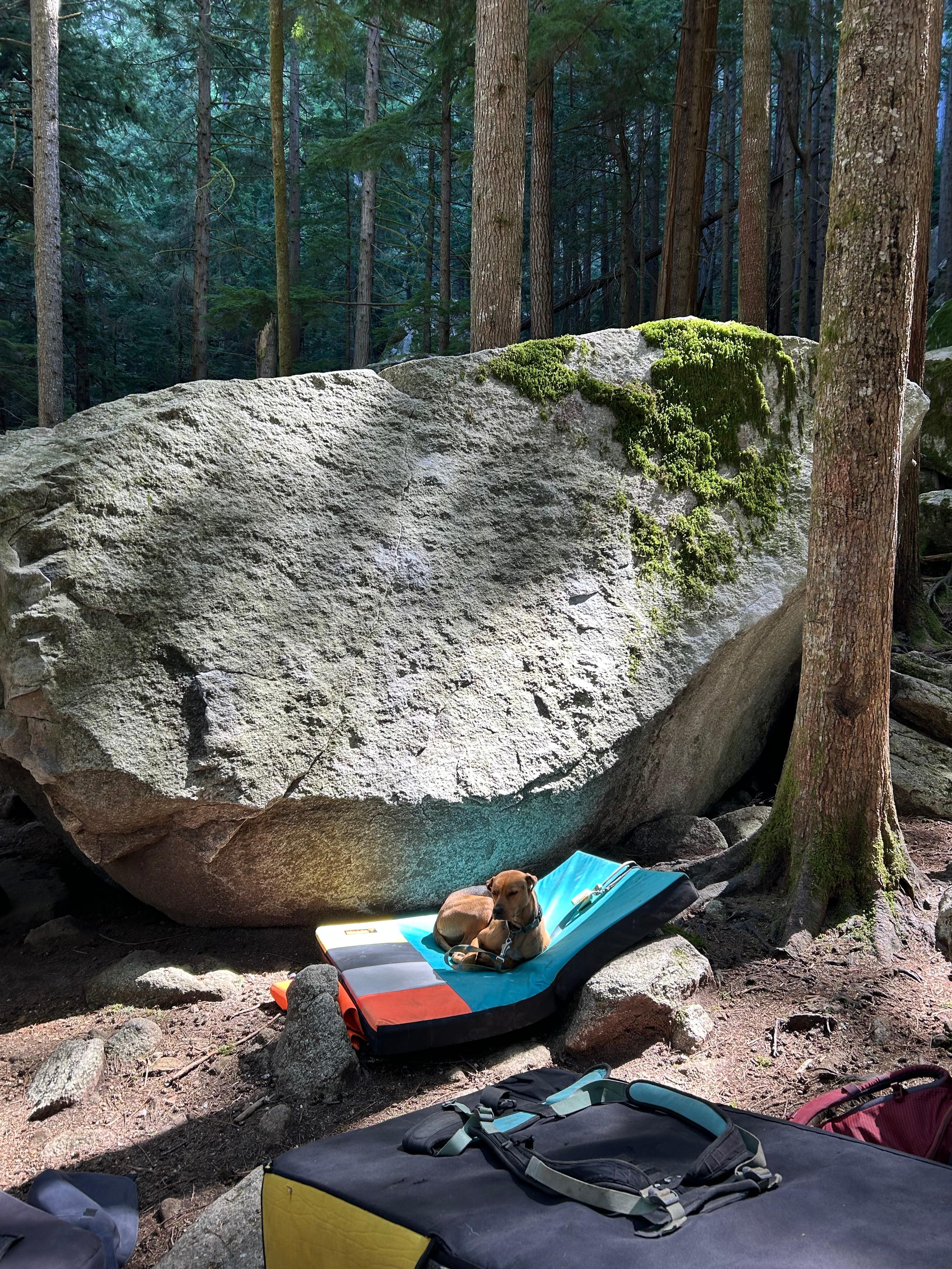 Dumb Slab photo by emilyg at Titanic North