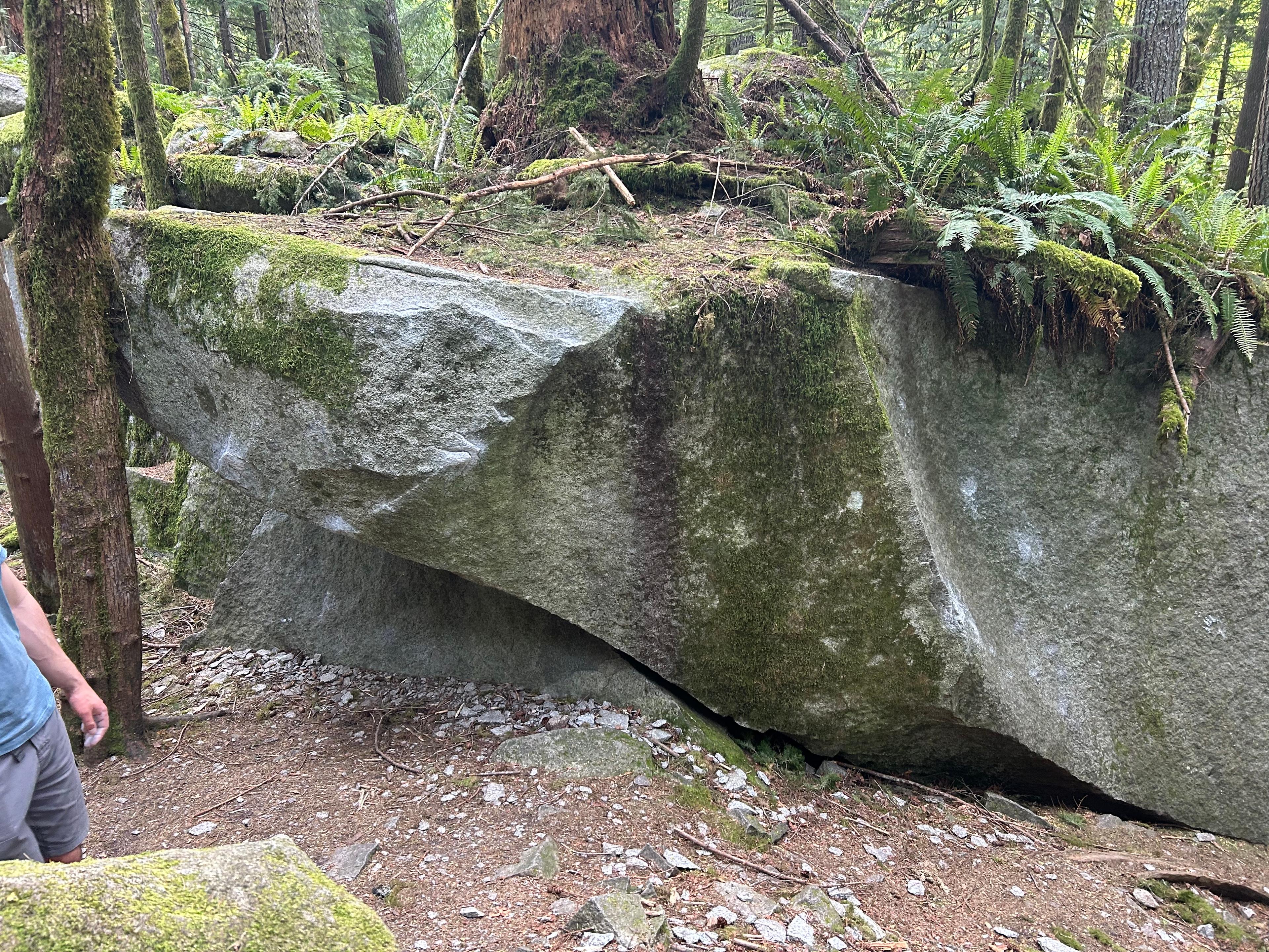 Scoop Slab