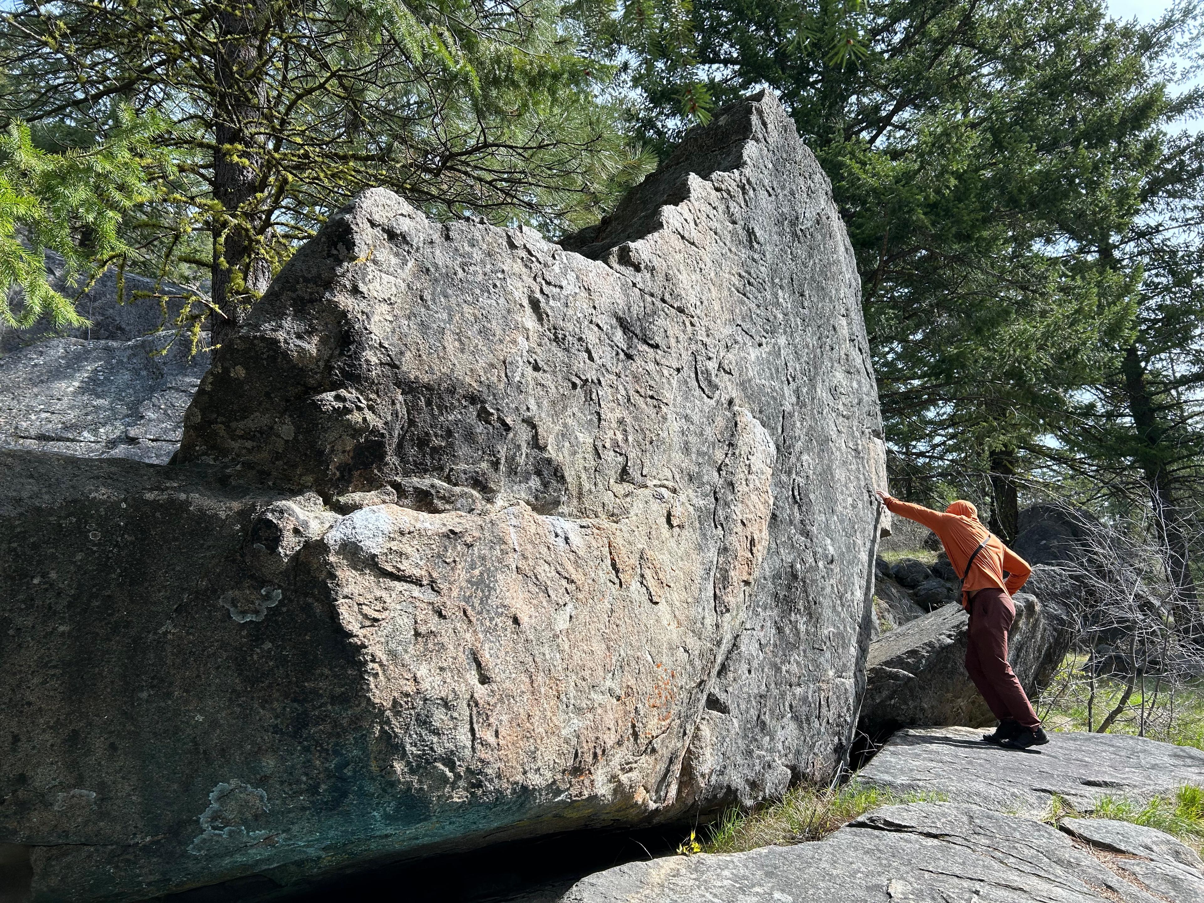 The Squid photo by emilyg at Whale Boulder