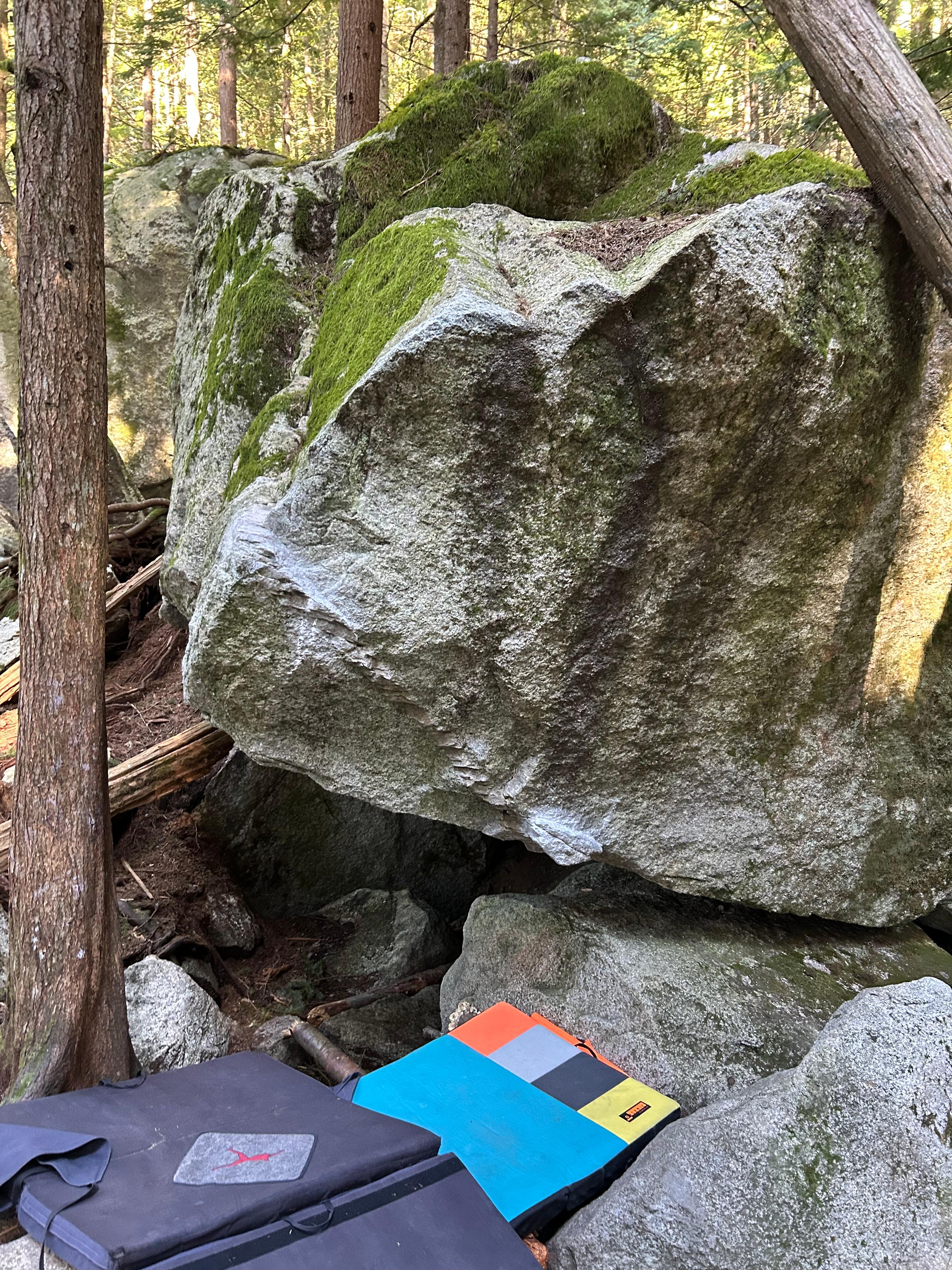 Anubis photo by emilyg at Titanic North