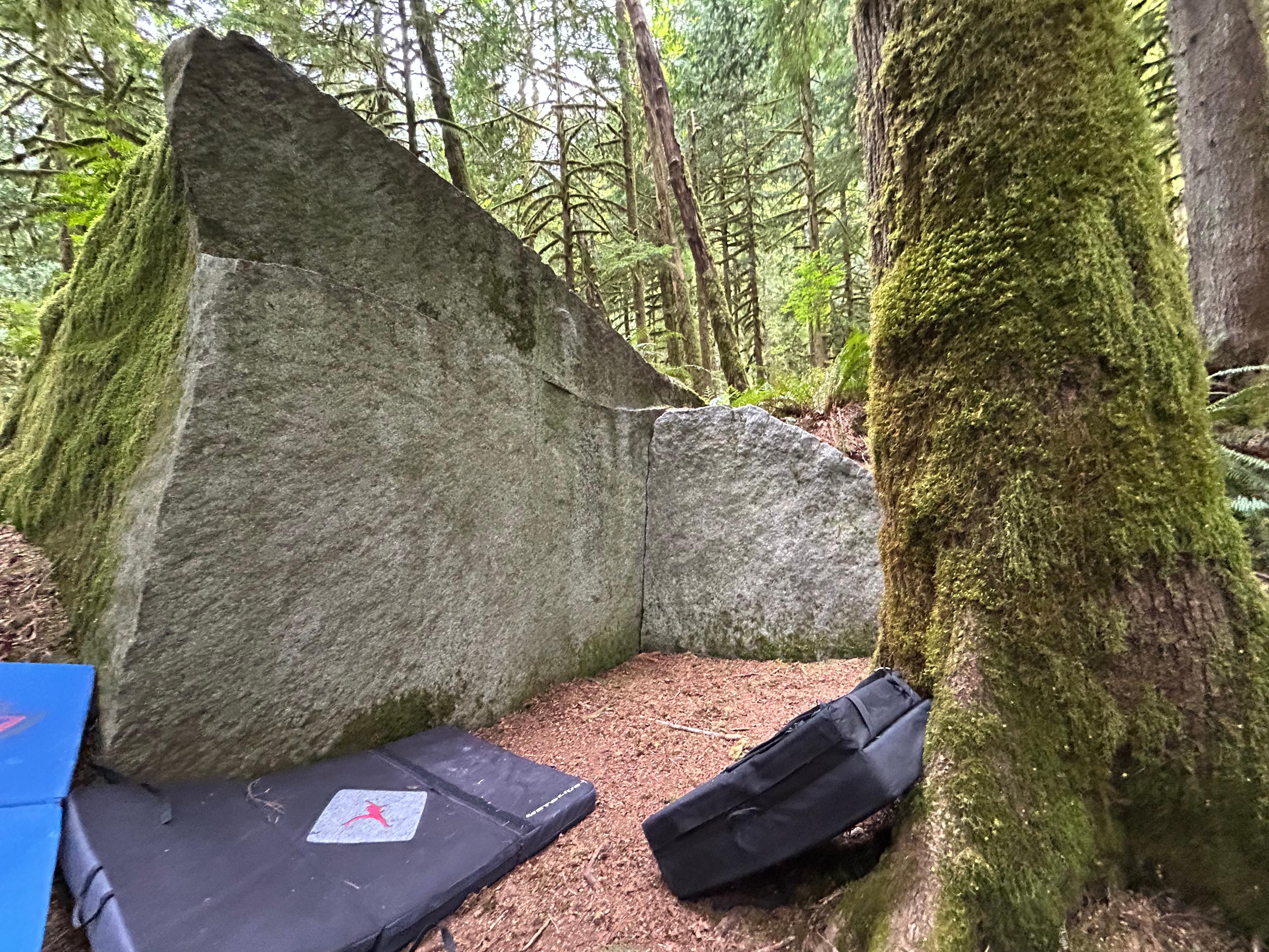 Whaletale