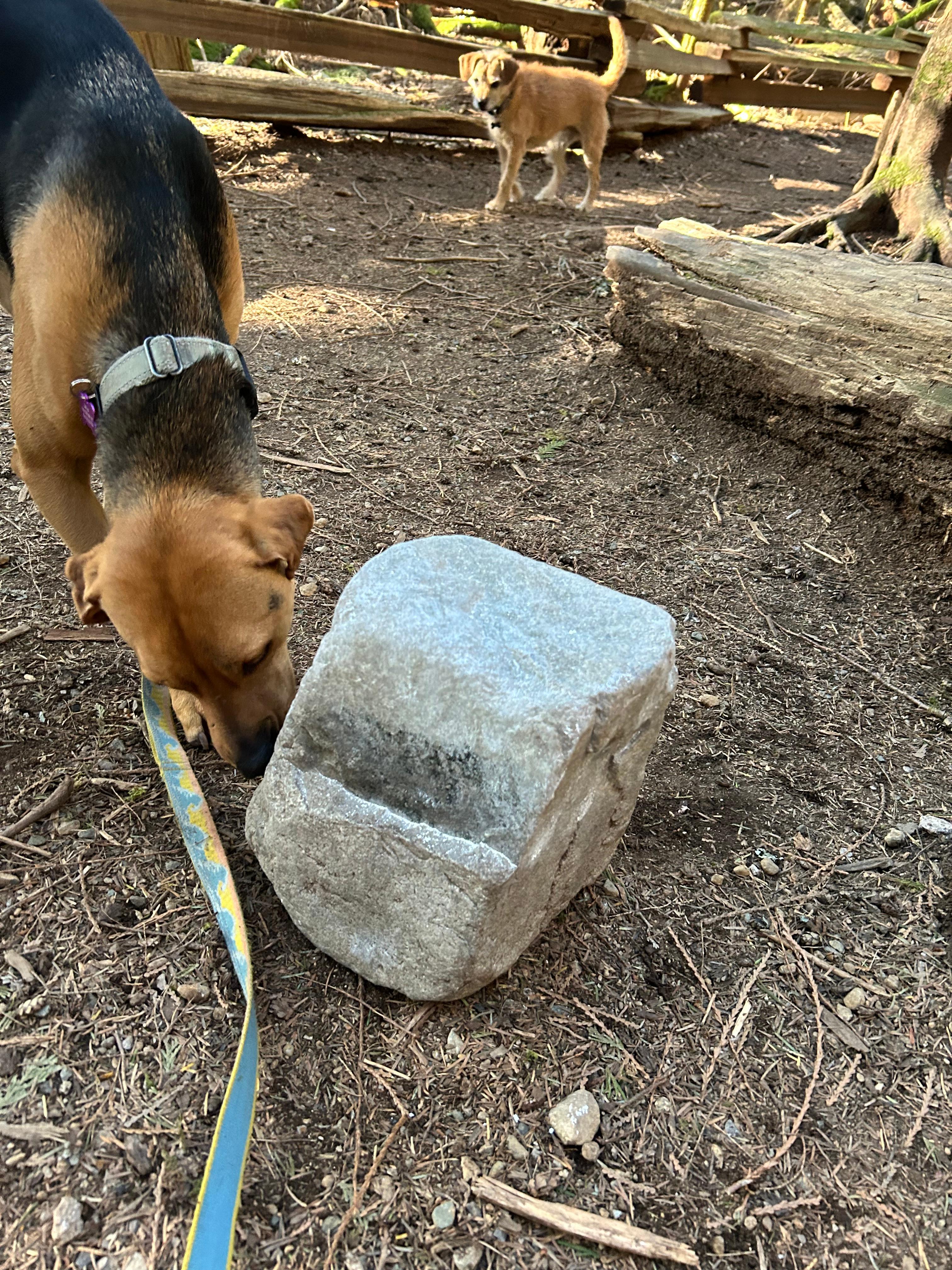 Portable photo by emilyg at Superfly