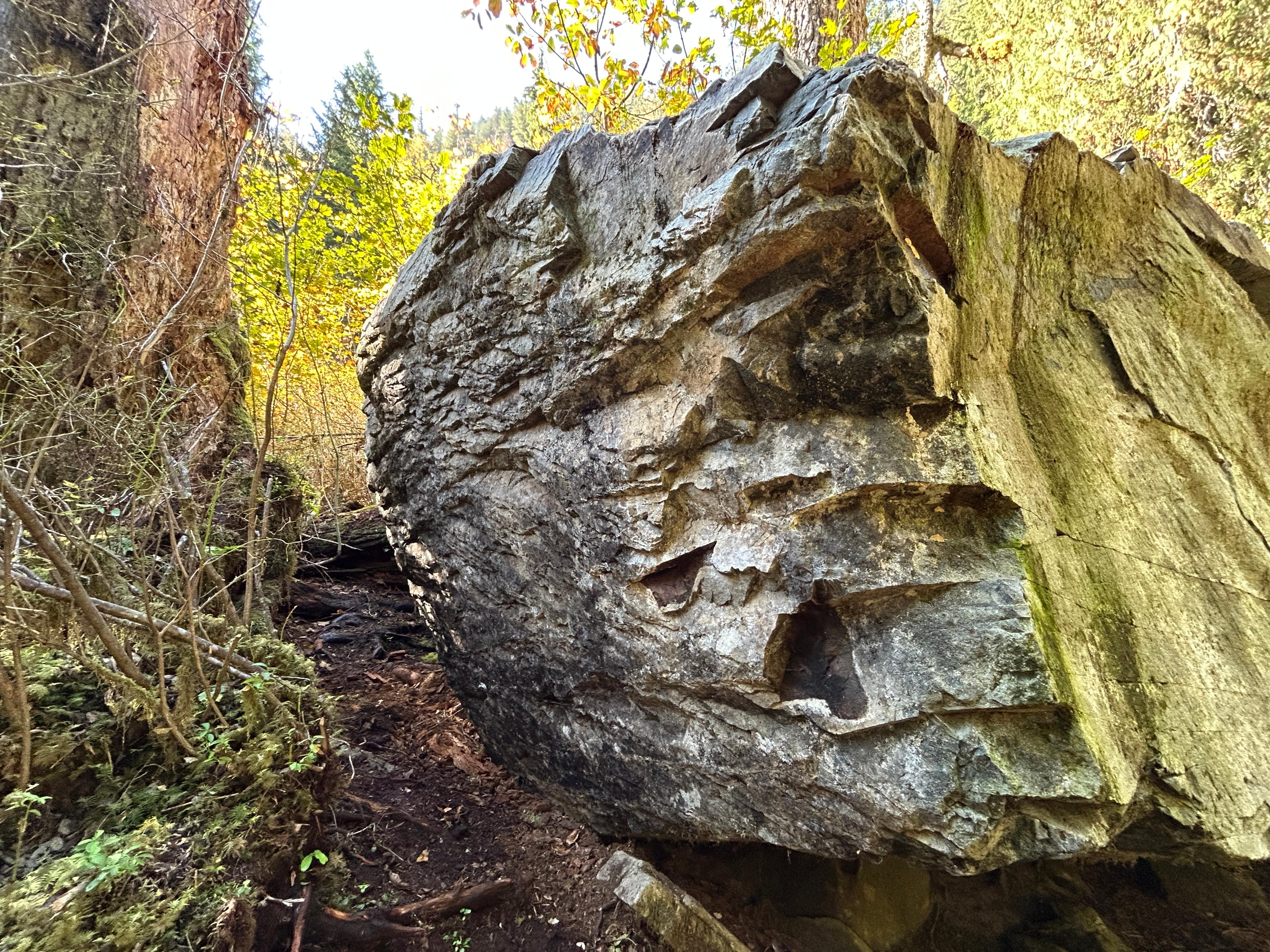 Rockbiter