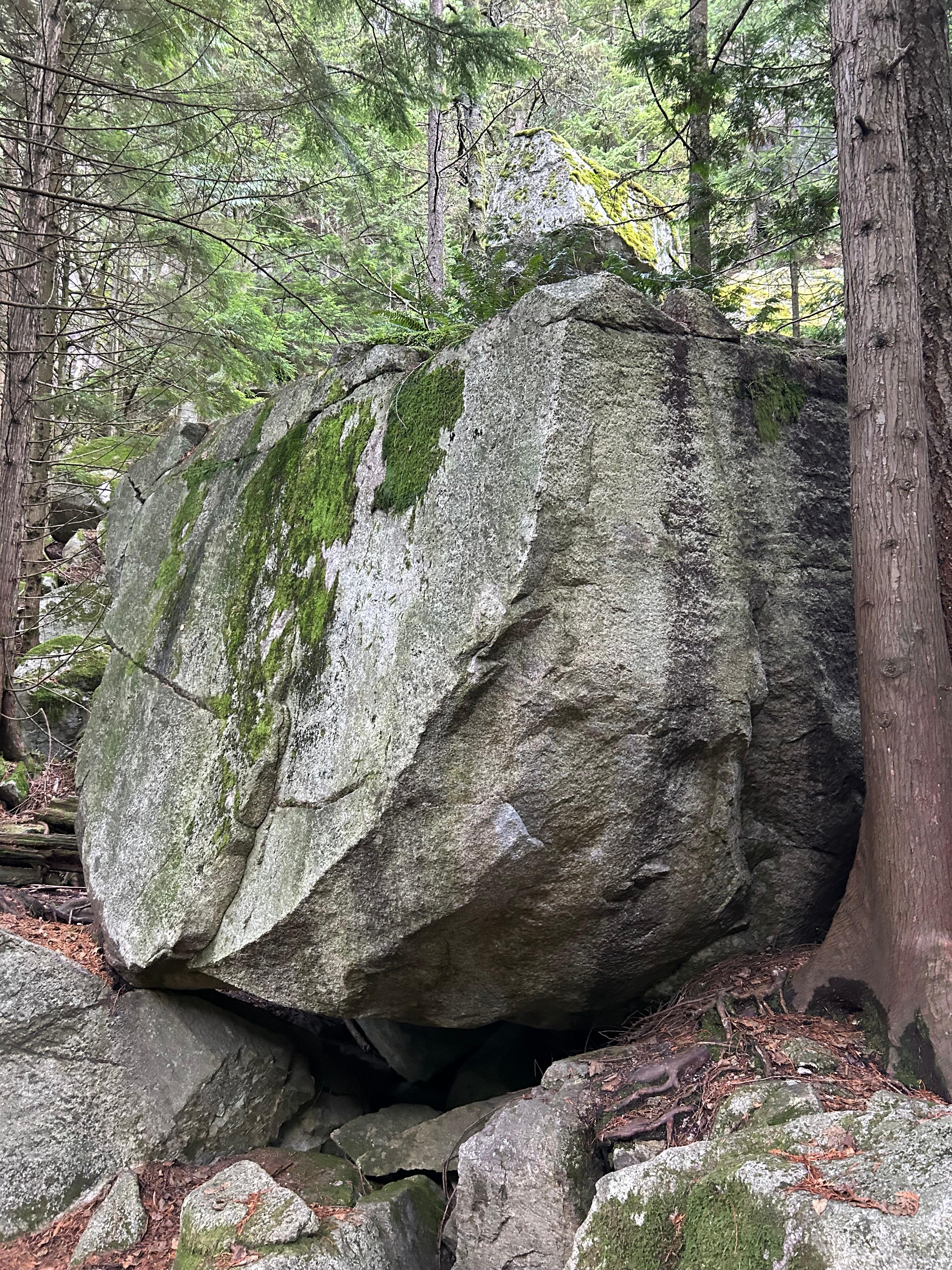 Didacts and Narpents