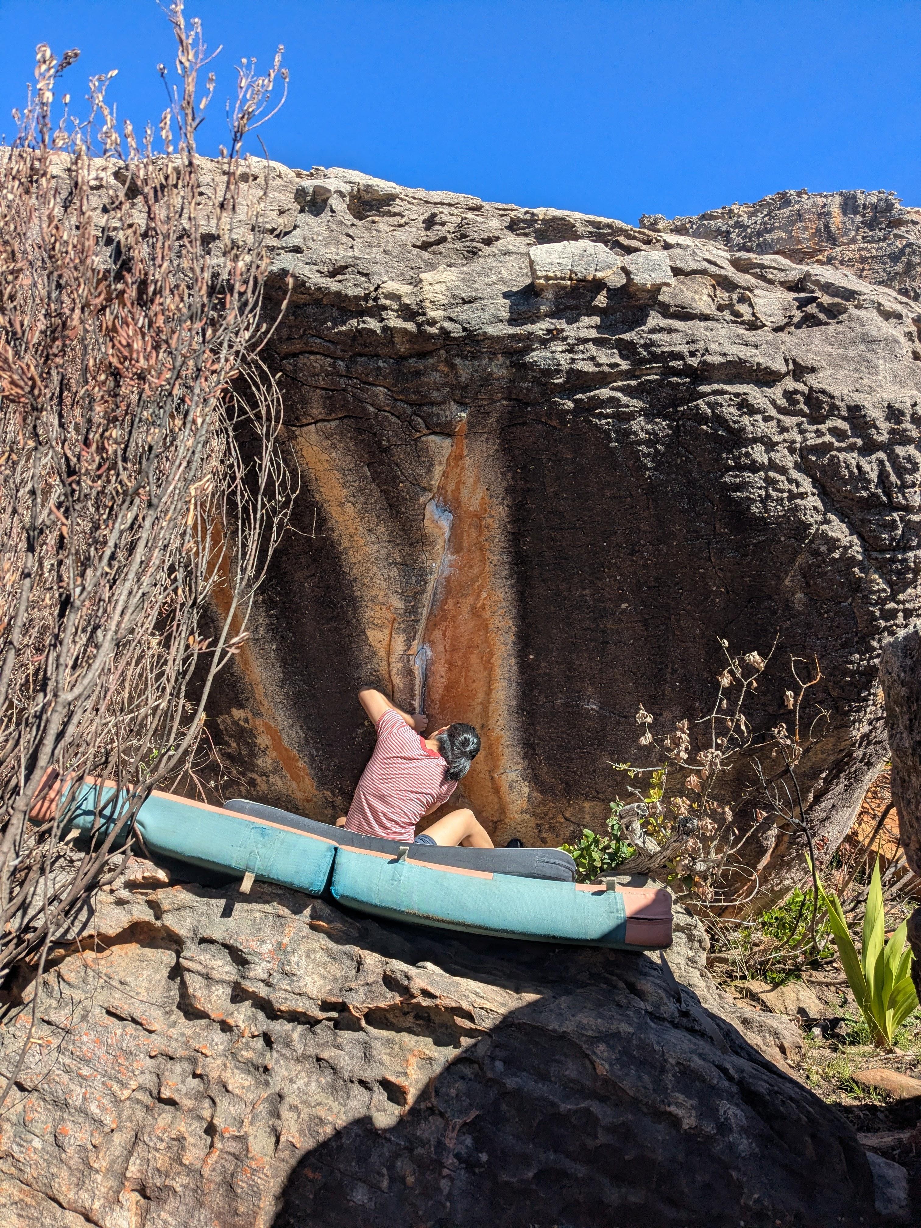 Trapped at the Alpha Farms