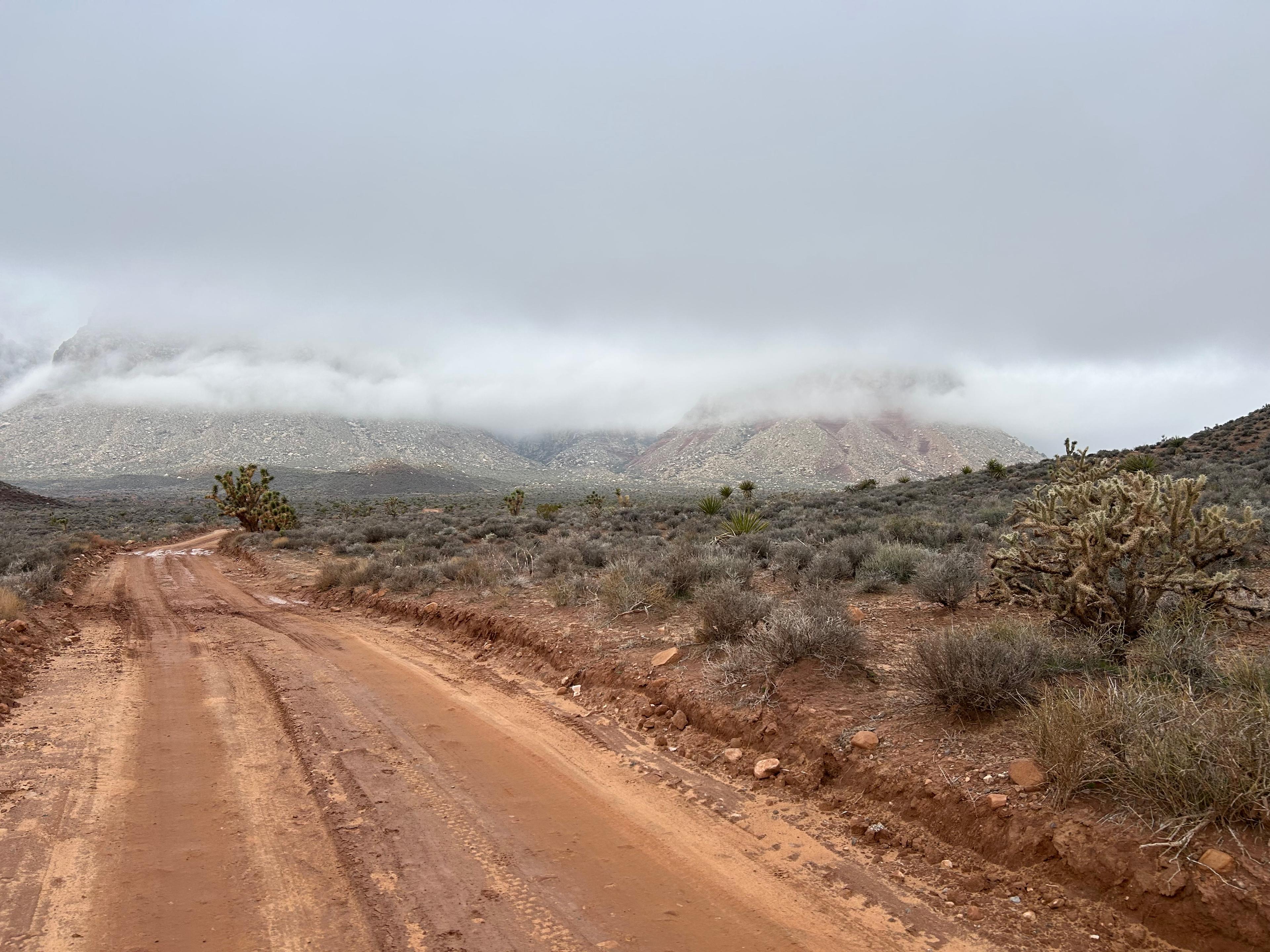 Climbing route photo by emilyg at Black Velvet Canyon Boulders