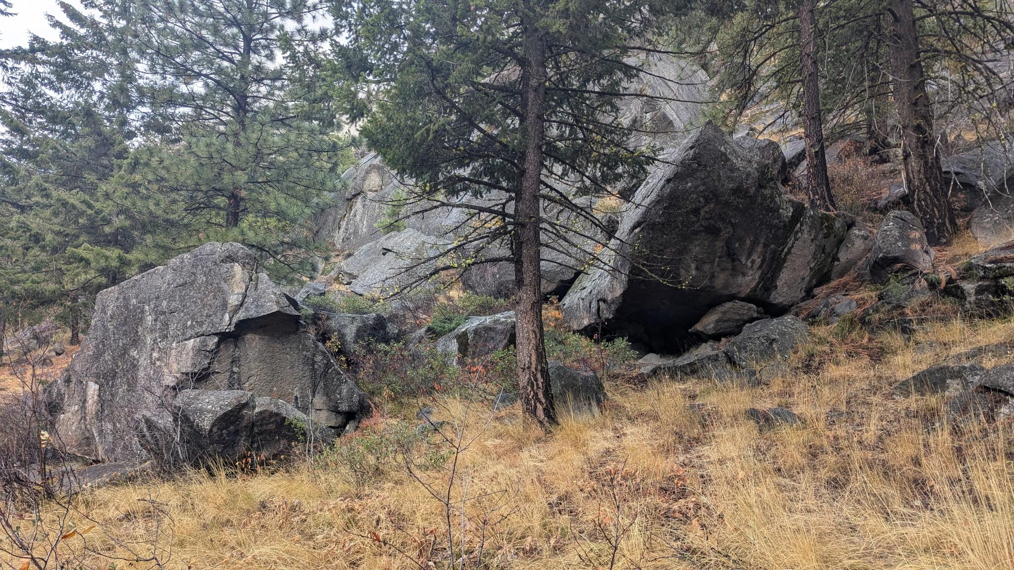 Climbing route photo by emilyg at Whale Boulder