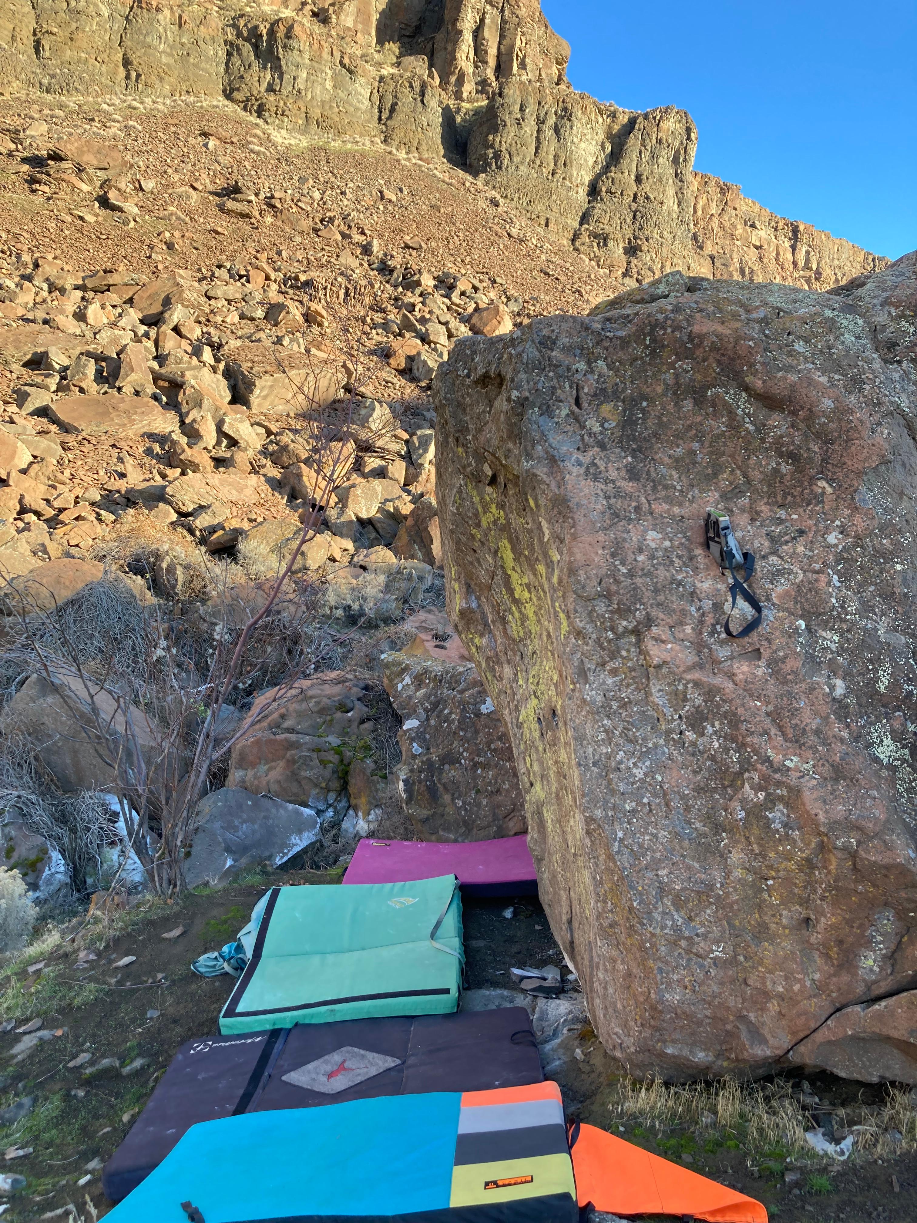 Wile E Coyote photo by emilyg at Coyote Cobble