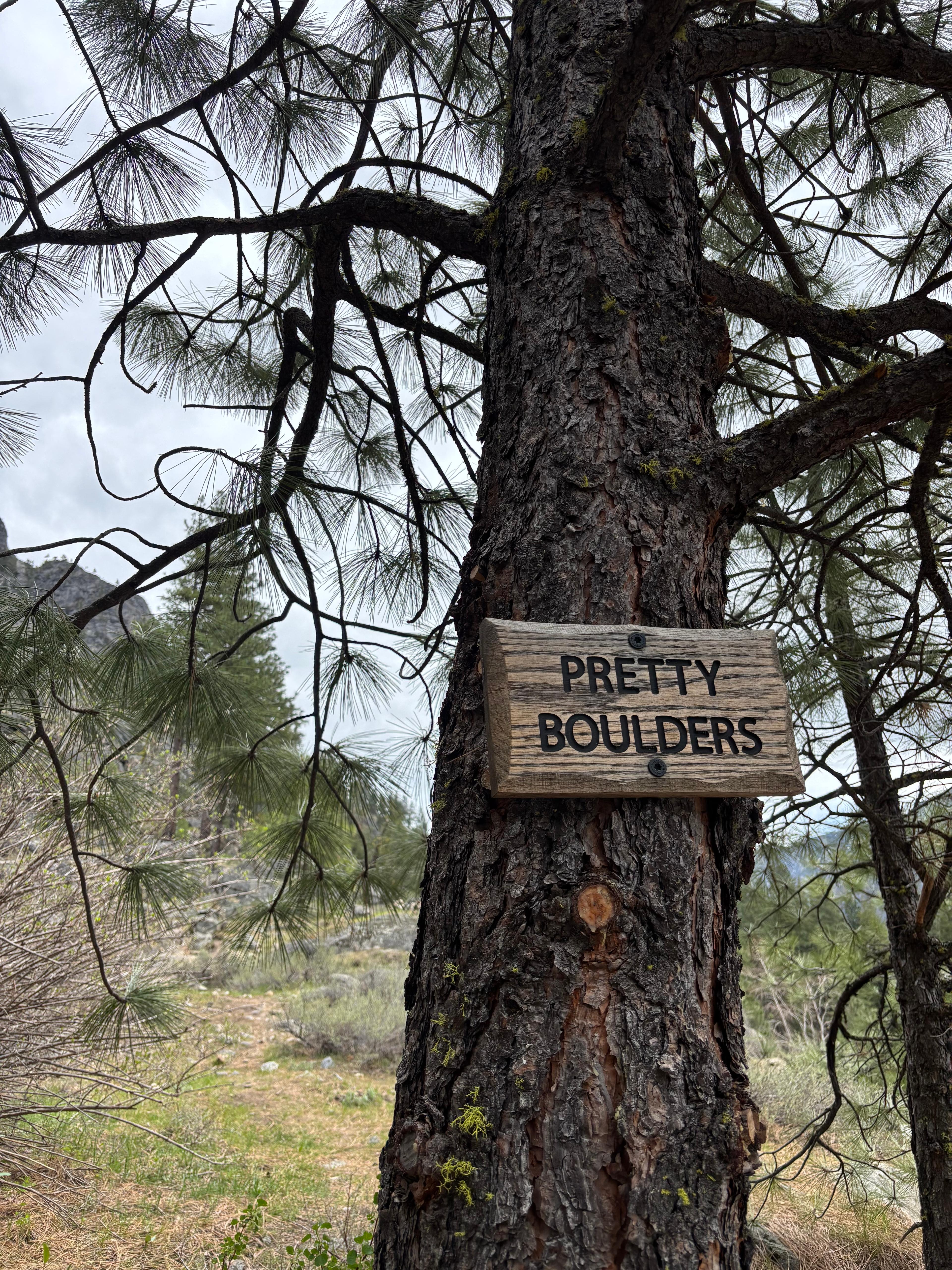 Climbing route photo by emilyg at Pretty Boulders