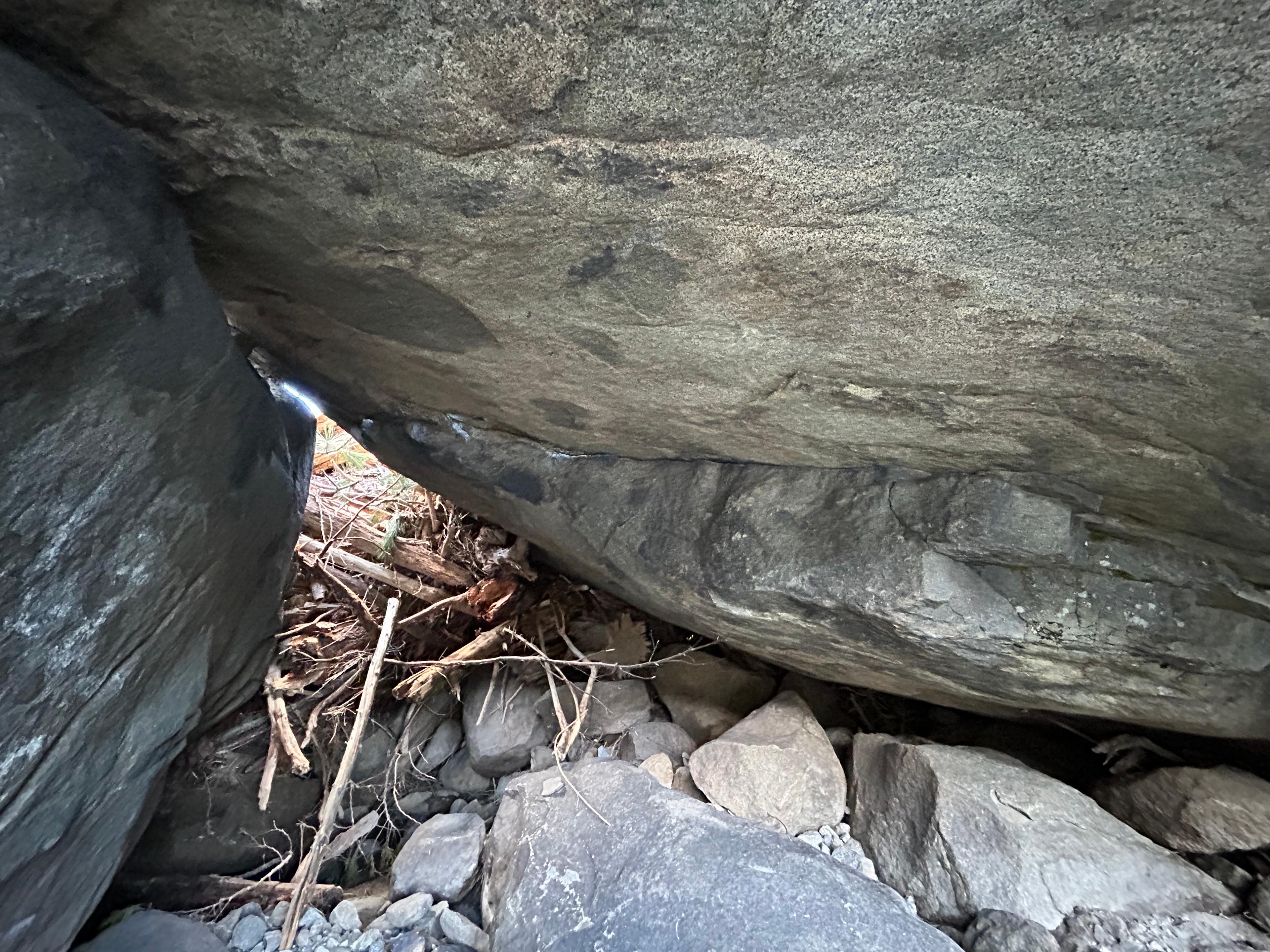 Head and Shoulders photo by emilyg at Jenny Craig