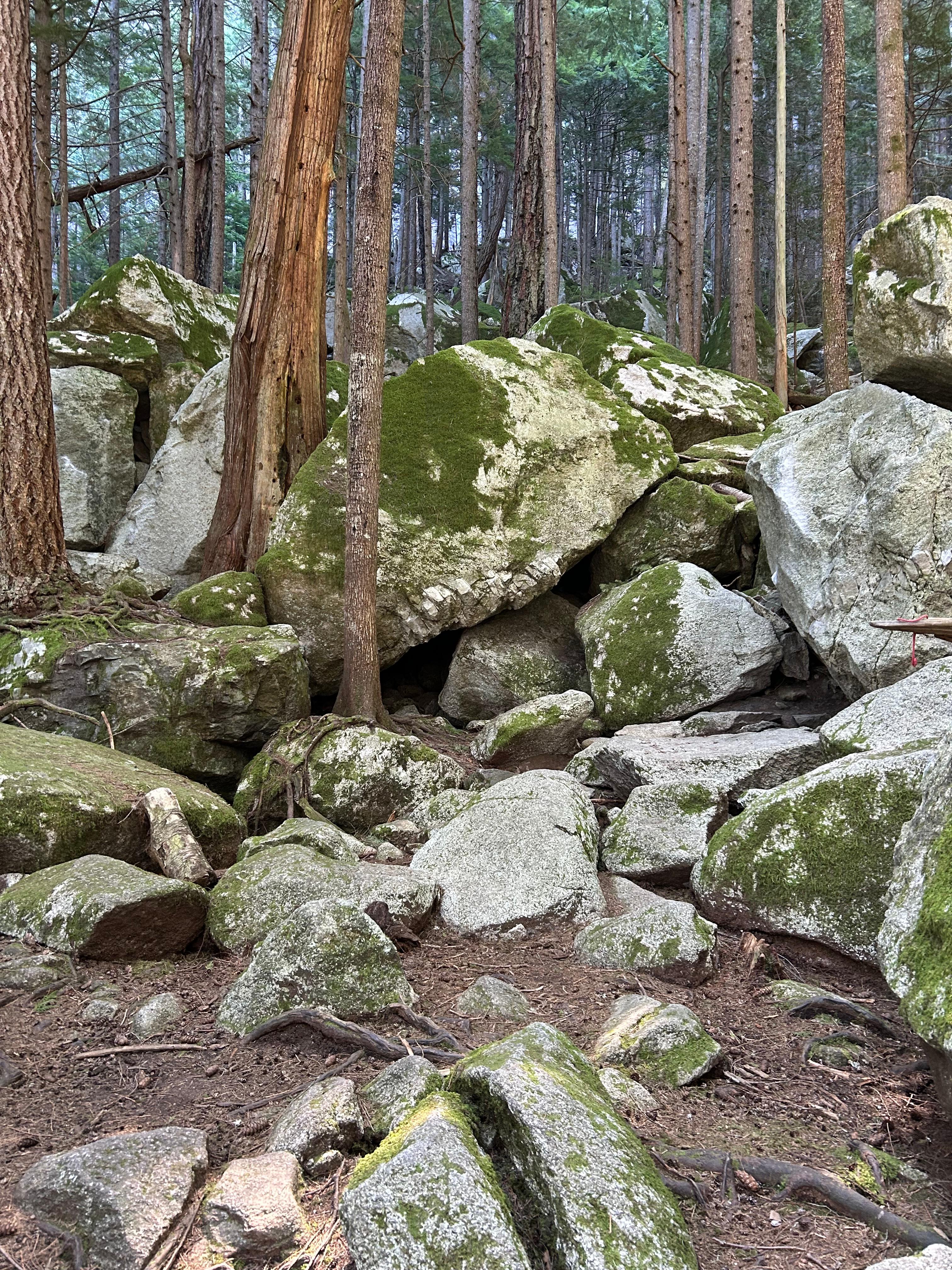 Snake Hips photo by emilyg at Titanic North