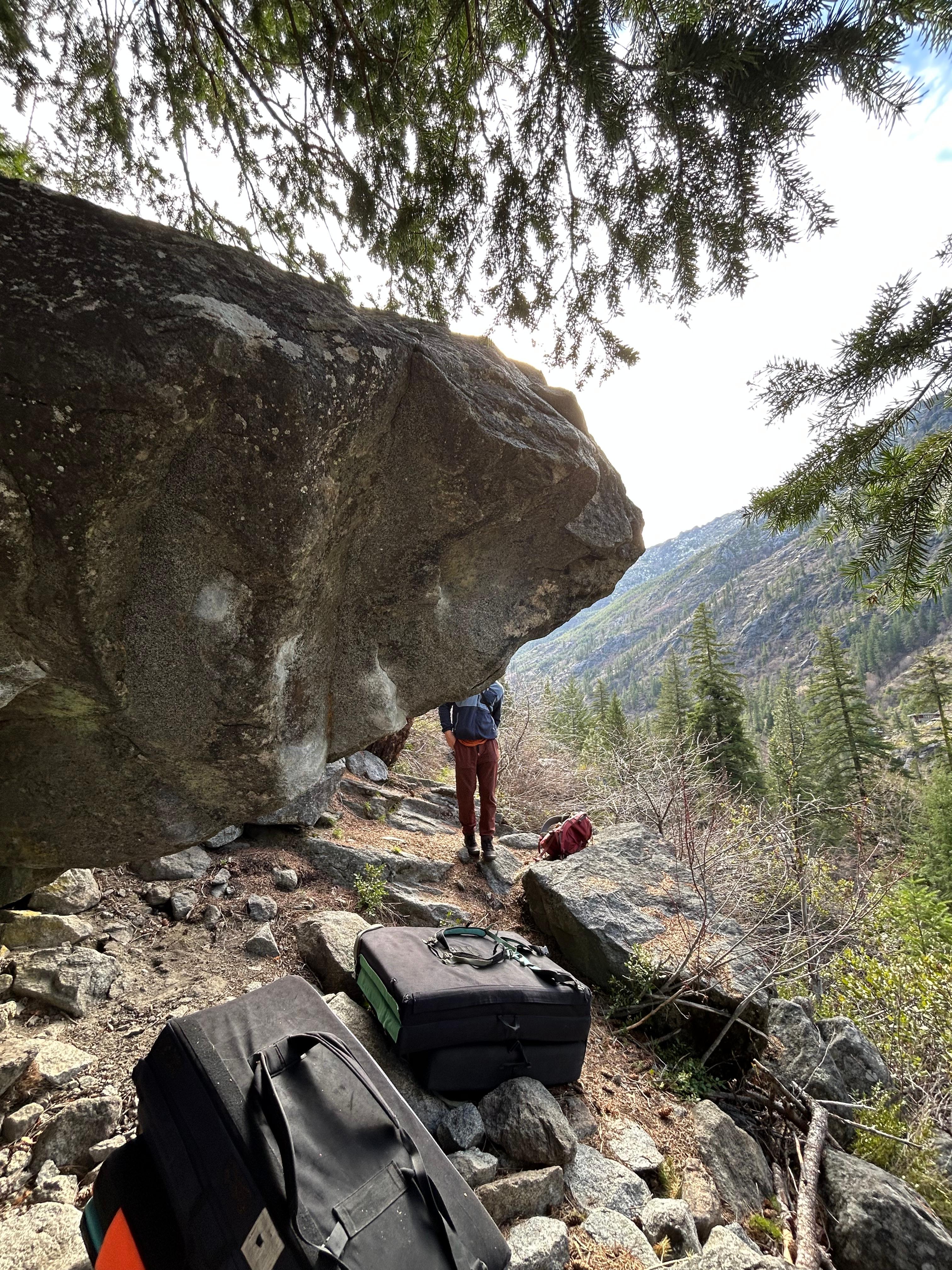 The Cotton Pony Pointer photo by emilyg at Cotton Pony, The