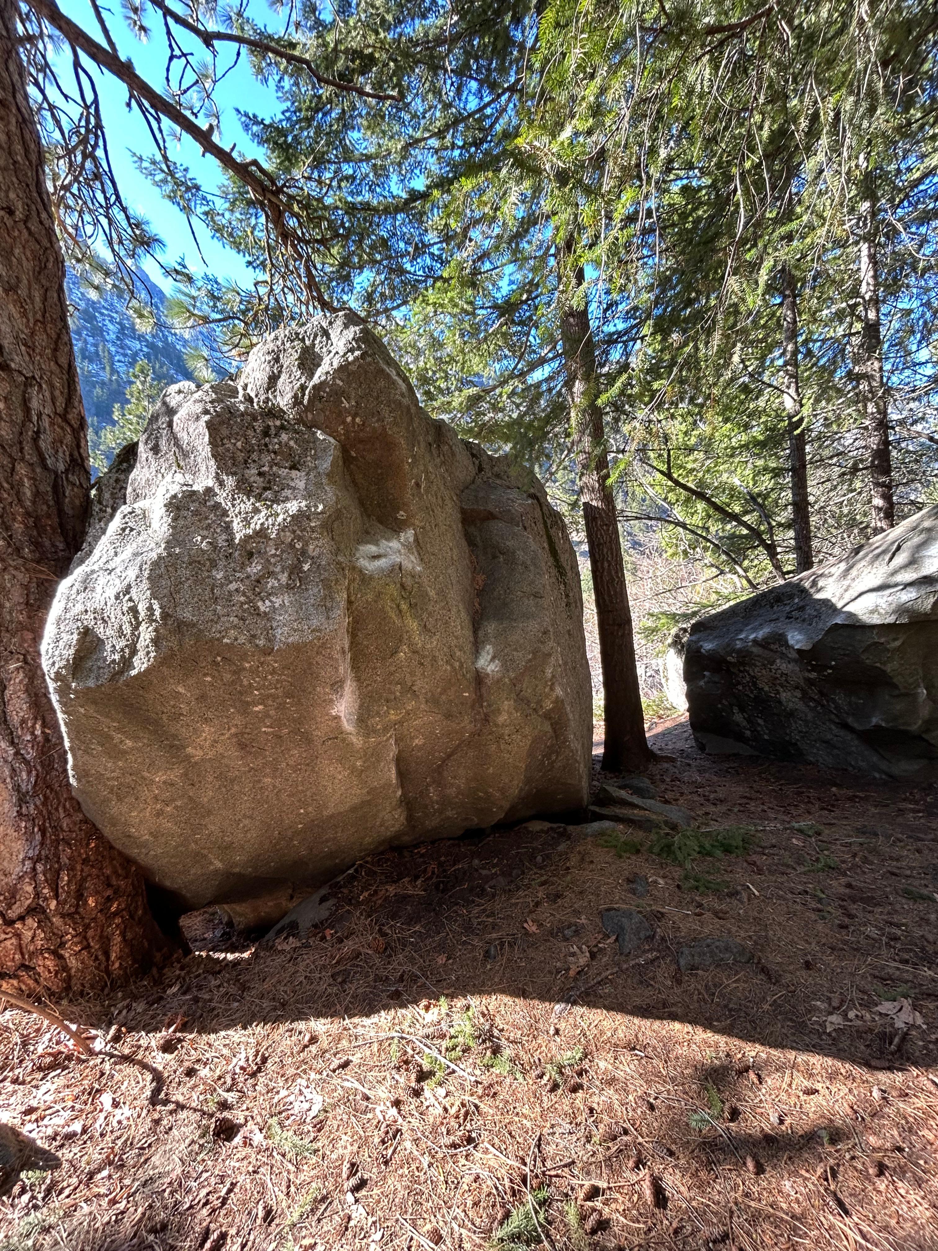 Bear Hug photo by emilyg at Icehouse, The