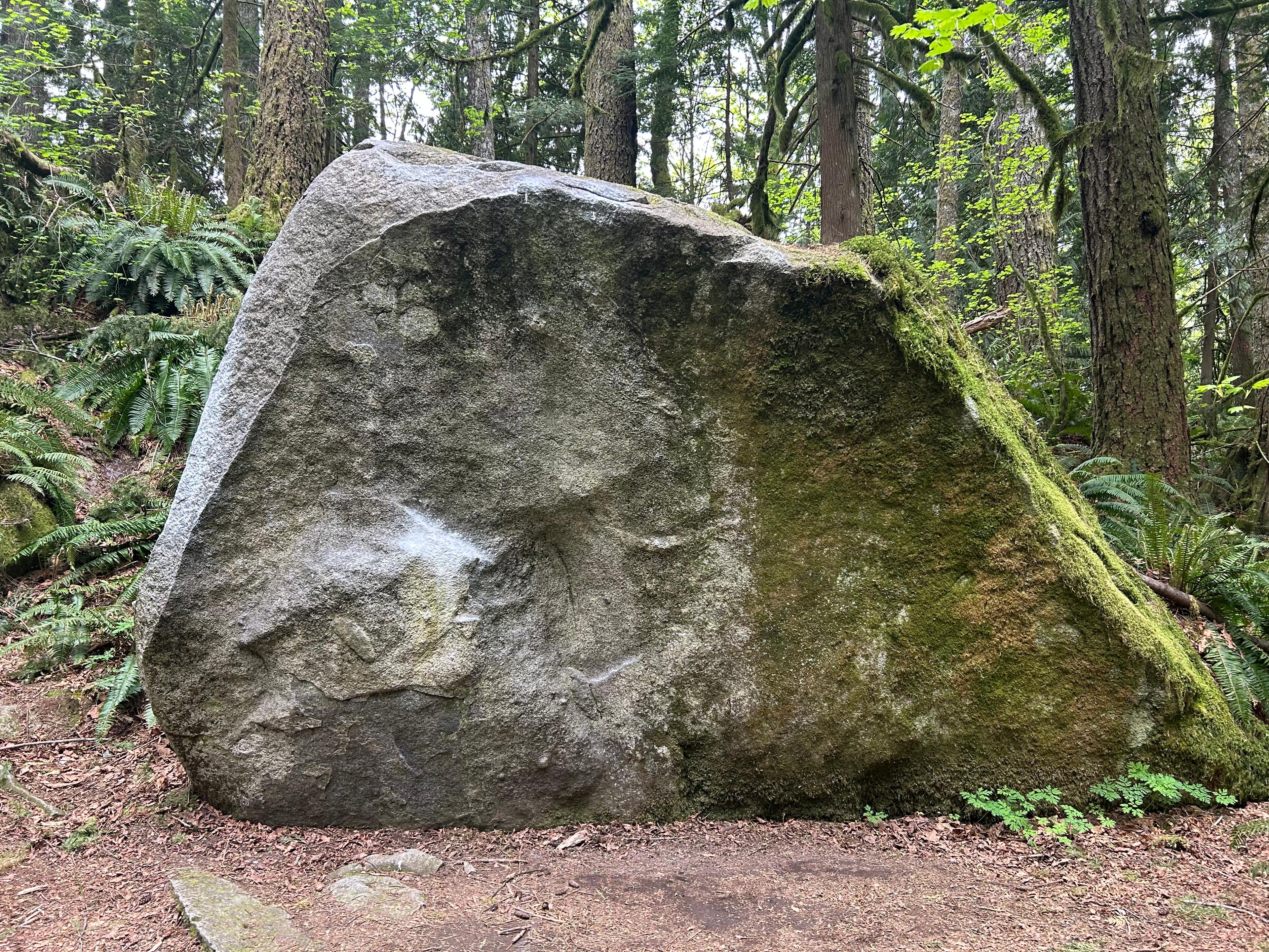 Zelda Dyno
