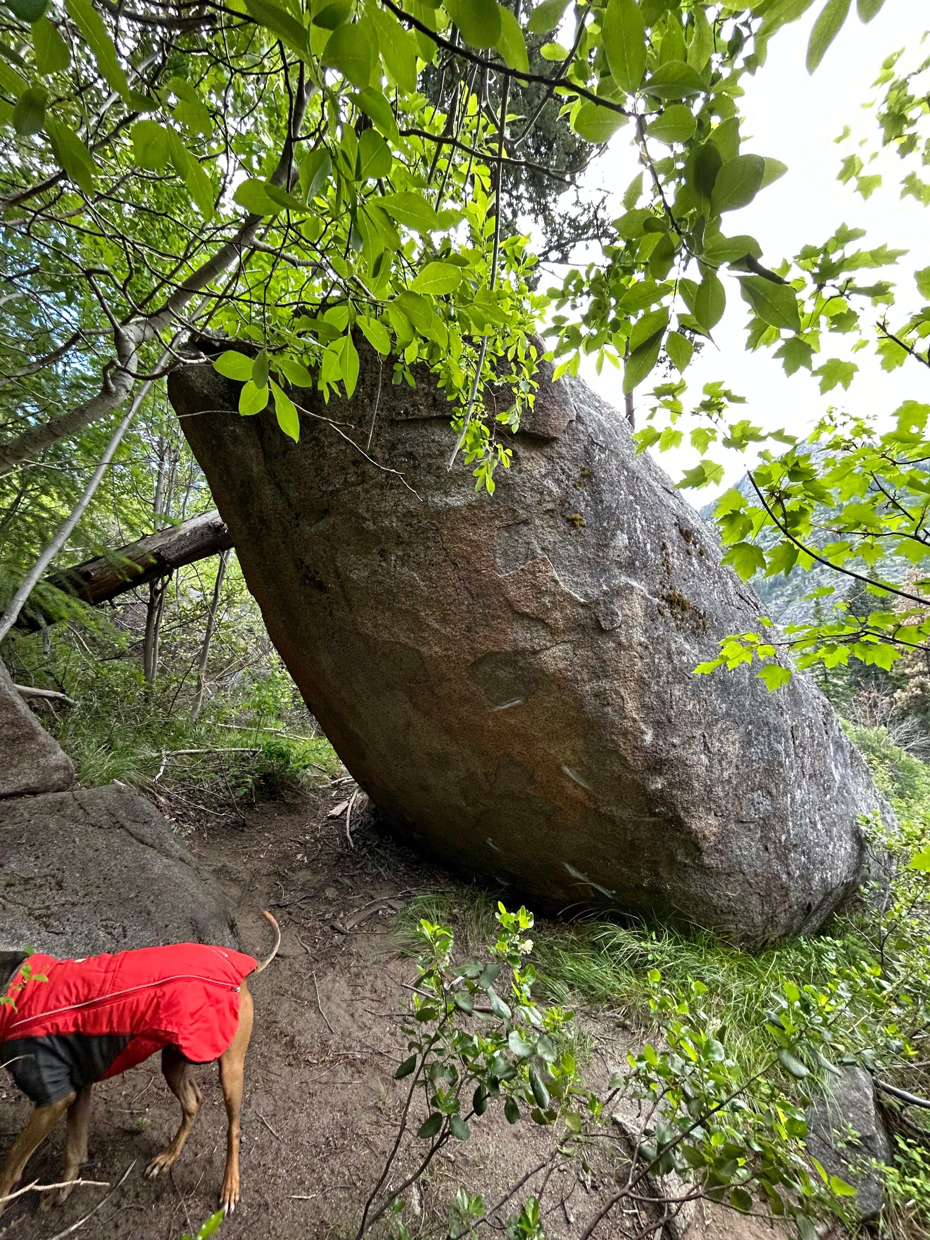 Pretty Hard photo by emilyg at Pretty Boulders