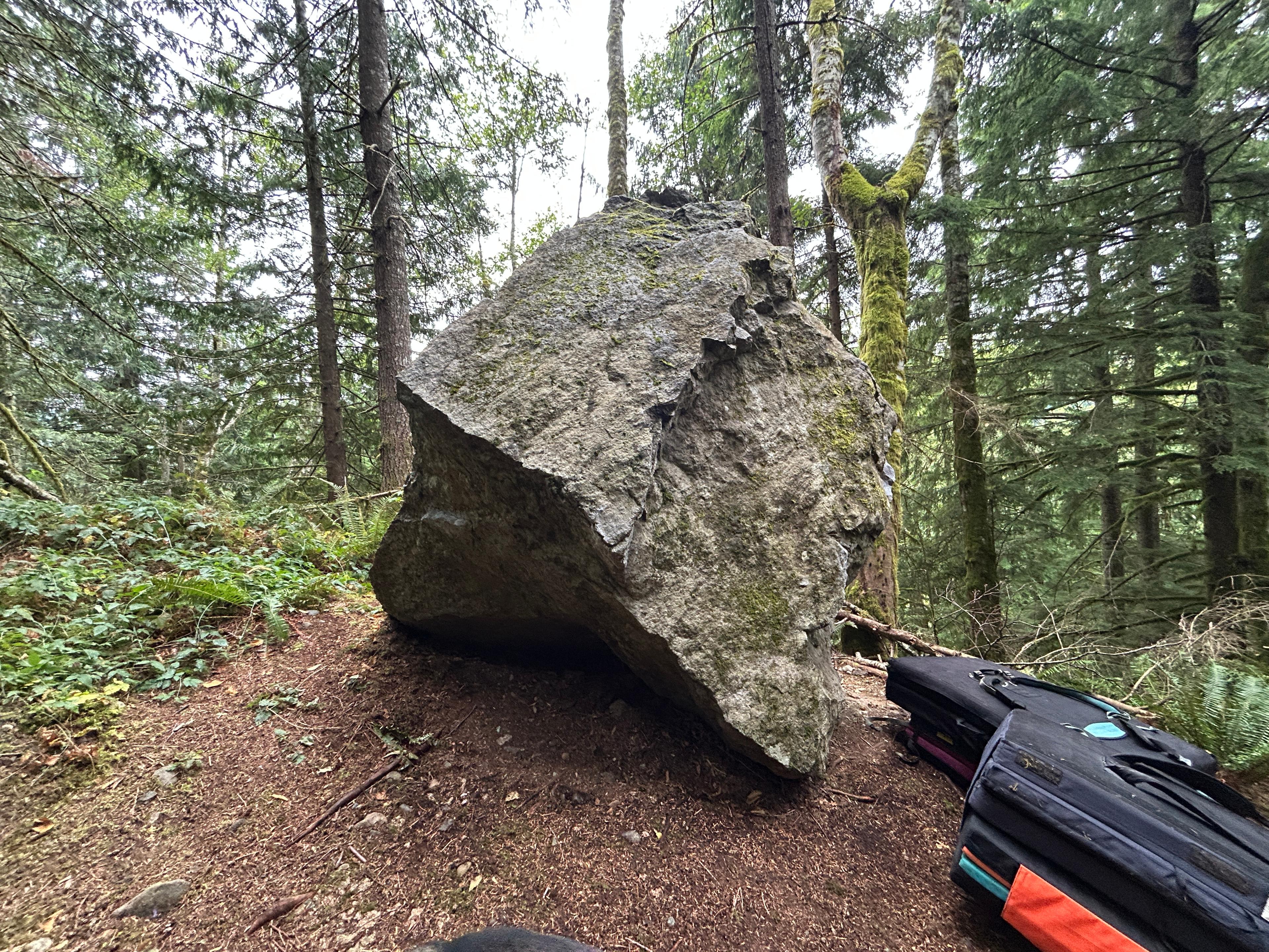 Every Blessing Ignored Becomes a Curse photo by emilyg at Mini-Mossy-Mammoth Boulder