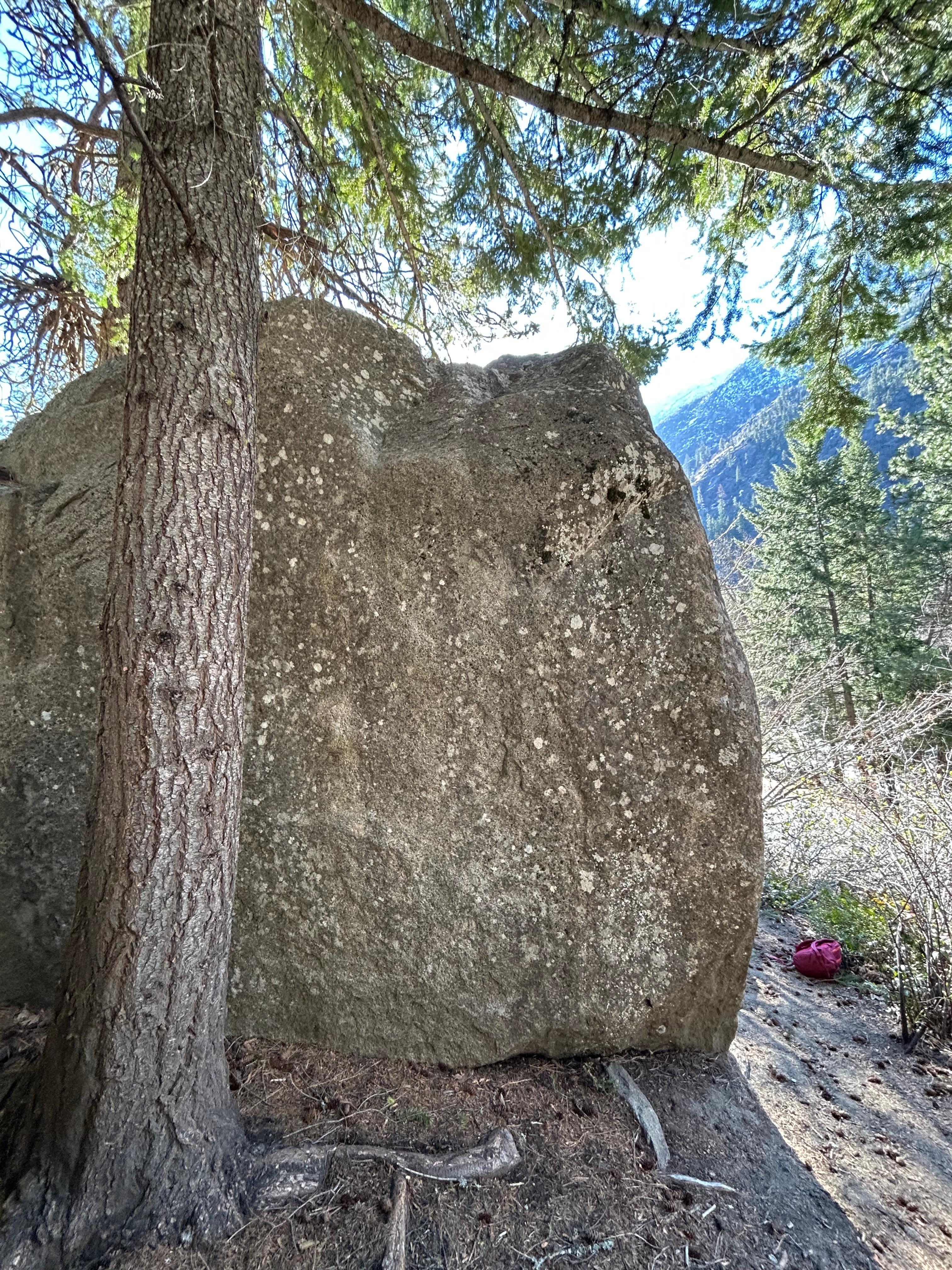 Ice Grip photo by emilyg at Icehouse, The