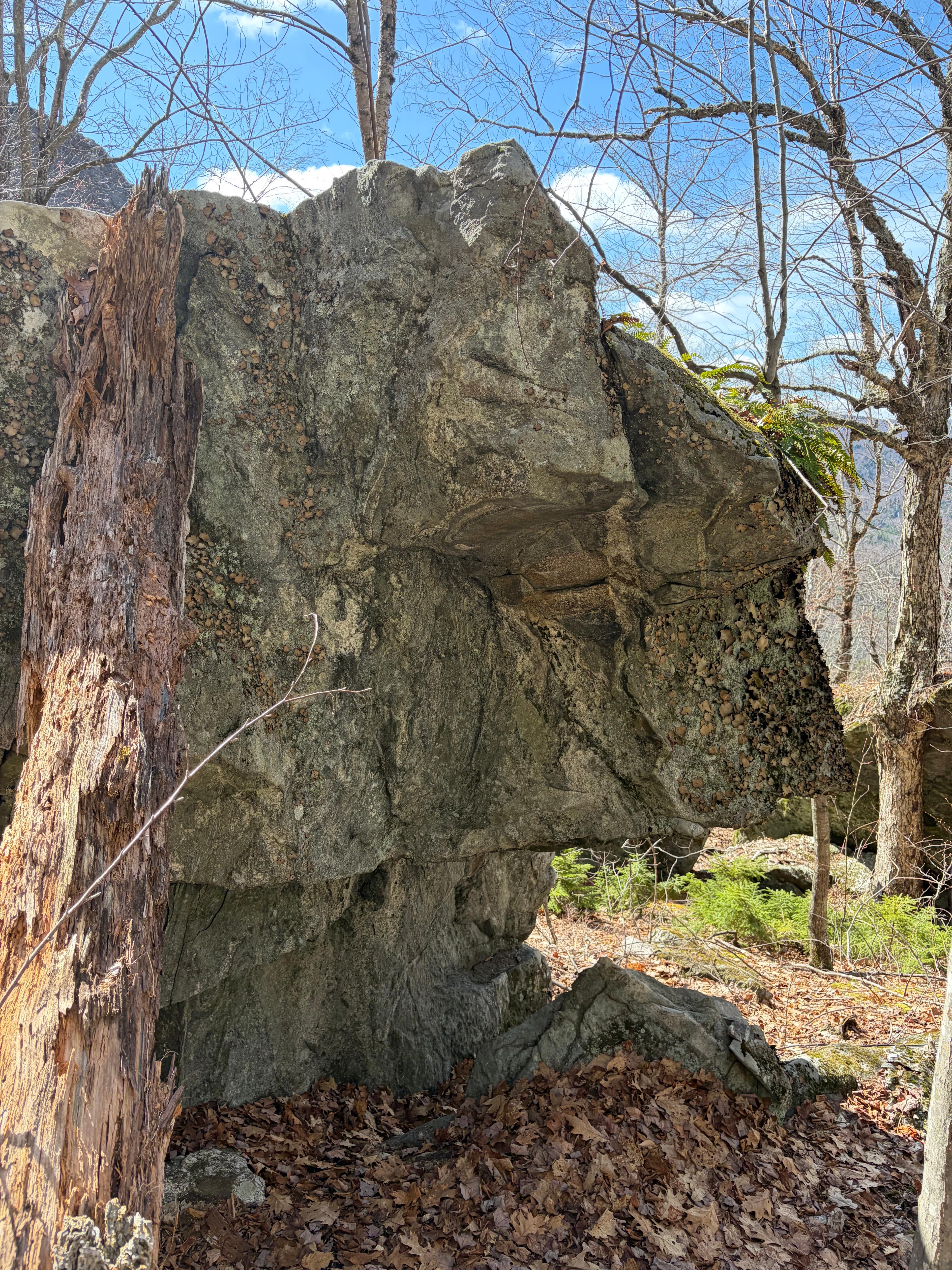 The Western Maine Stewardesses of Slab Climbing photo by TheShaggCragNo1Sheriff at Bouldering