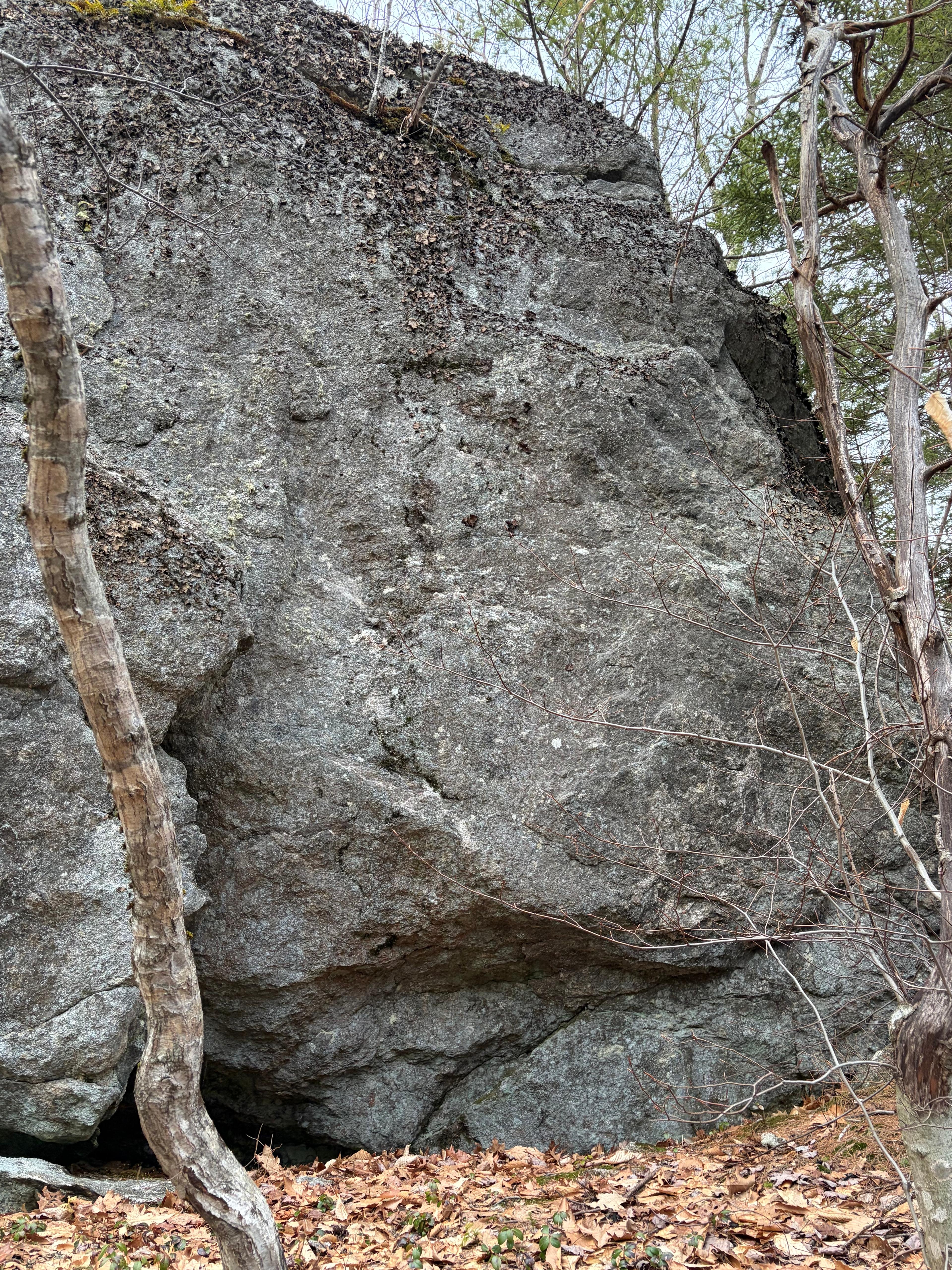 Crimpin Ain't Easy photo by TheShaggCragNo1Sheriff at Bouldering