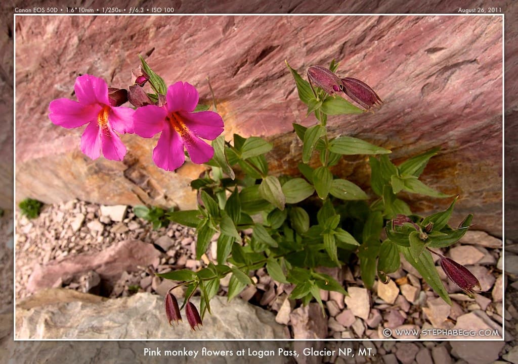 Glacier National Park