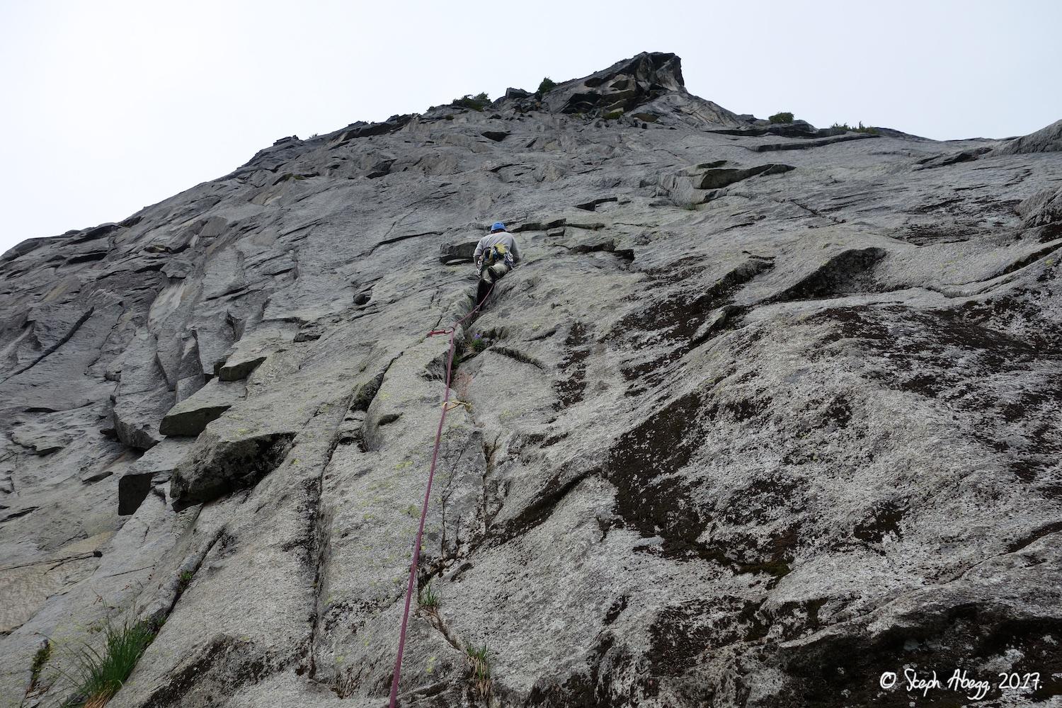 Flight of the Falcon