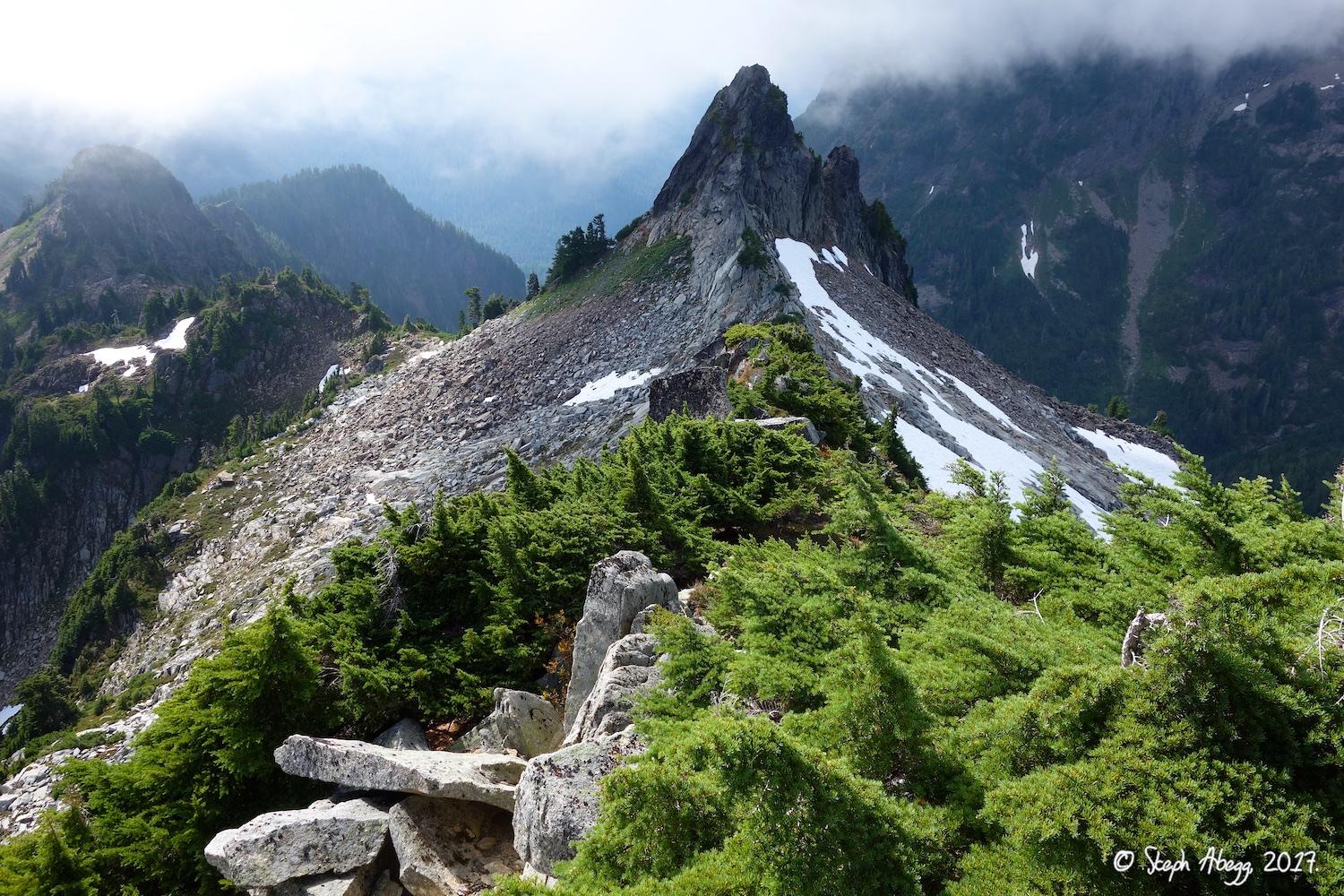 Flight of the Falcon