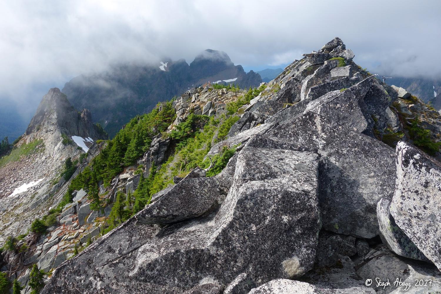 Flight of the Falcon