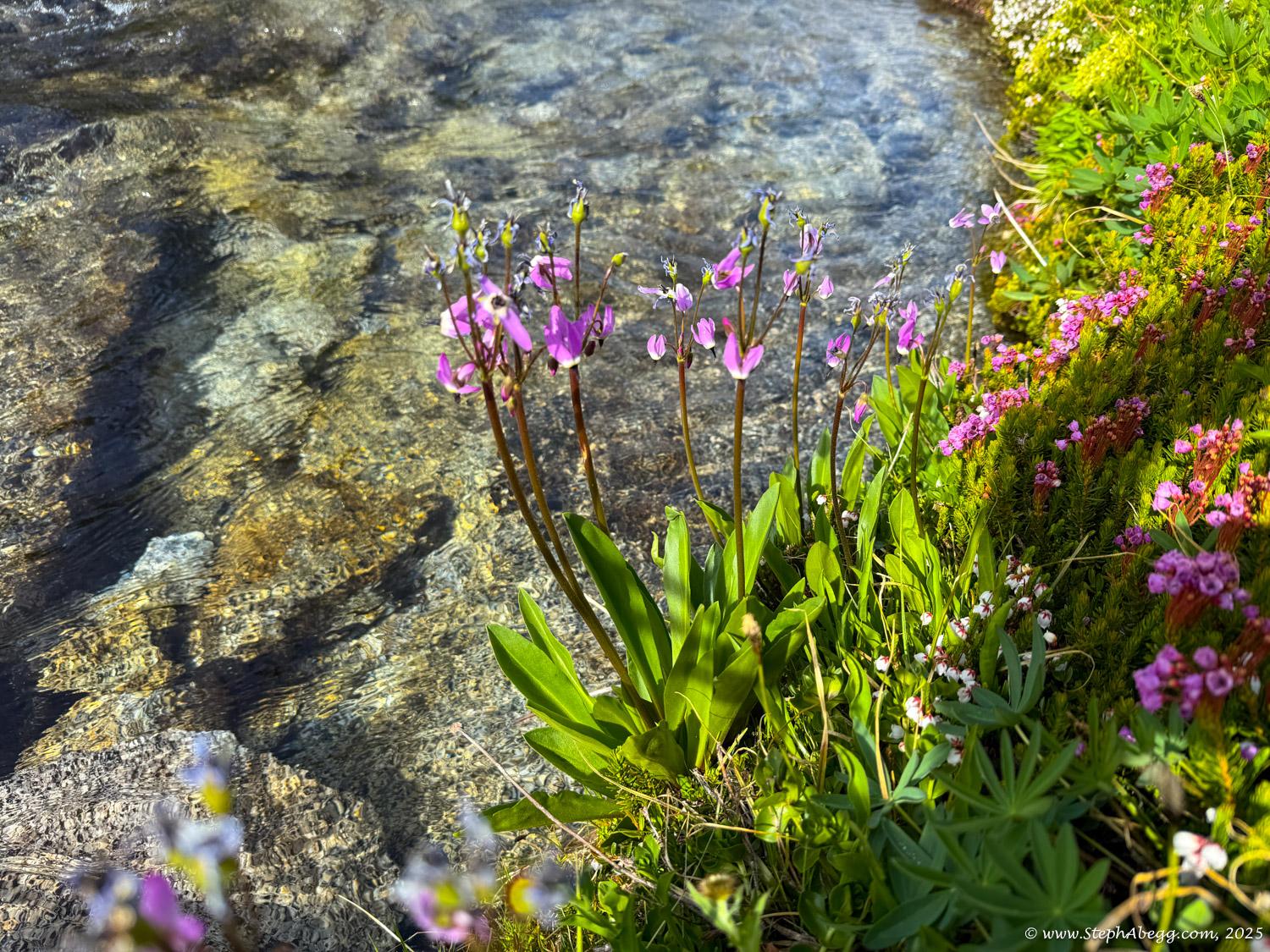 Climbing route photo by stephabegg at Stuart-Enchantments