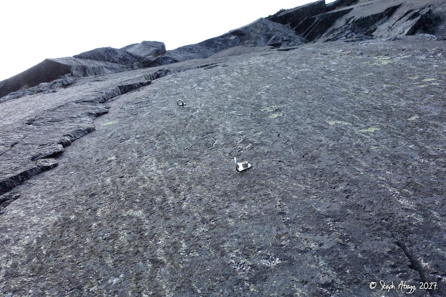 Flight of the Falcon