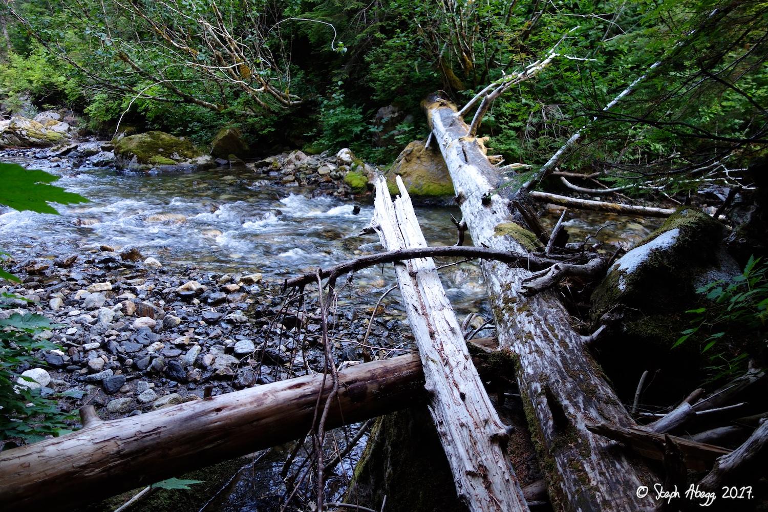 Flight of the Falcon