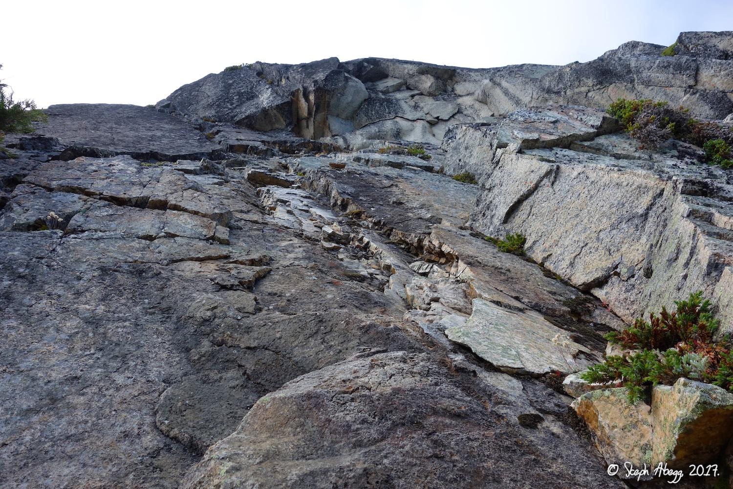 Flight of the Falcon