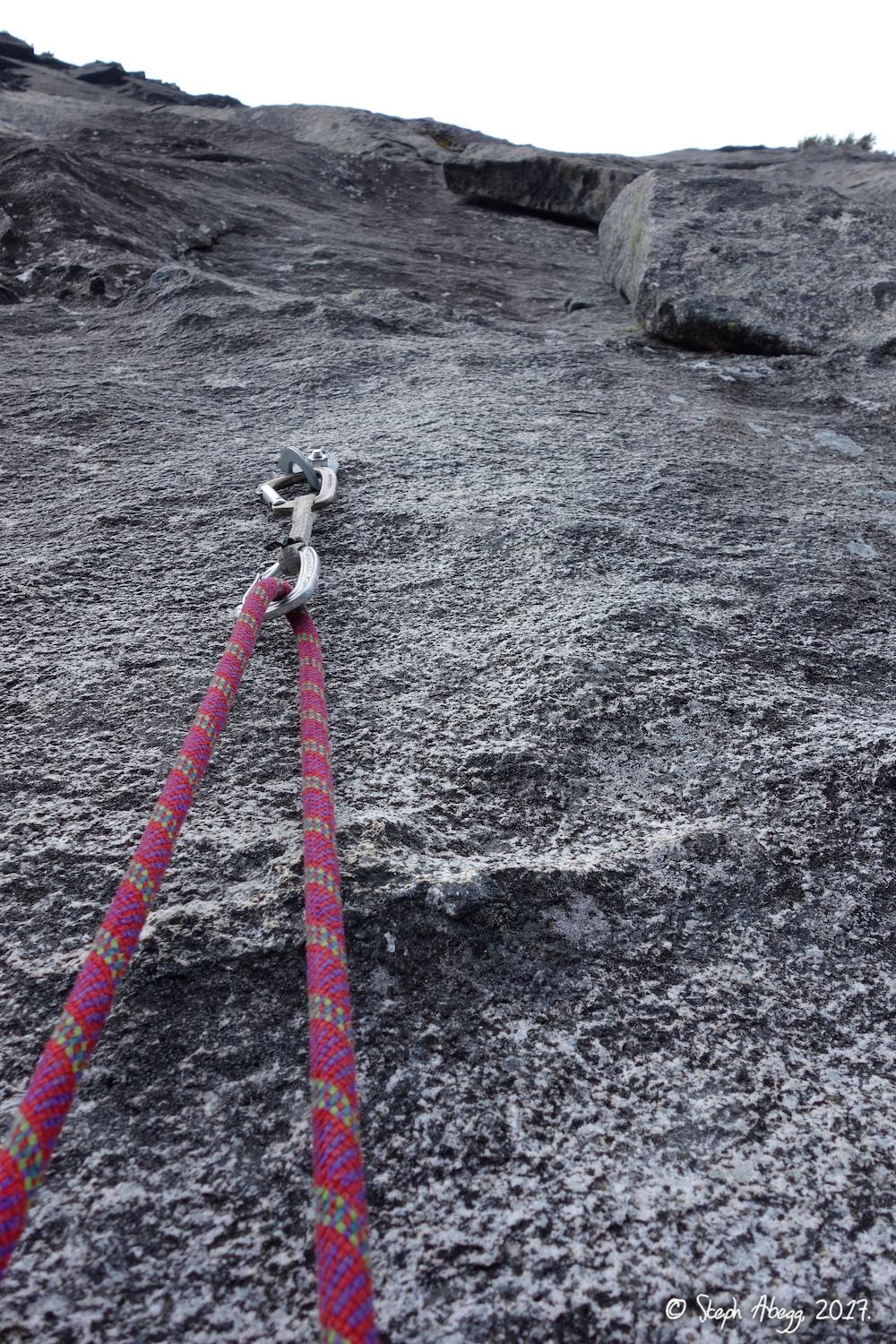 Flight of the Falcon