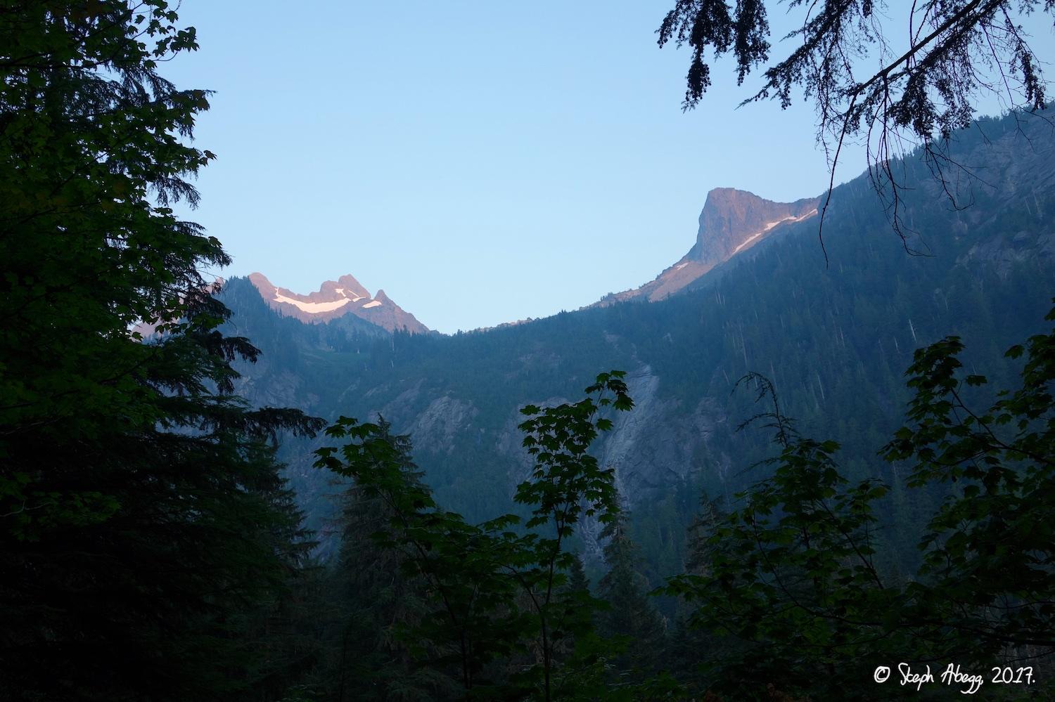 Flight of the Falcon