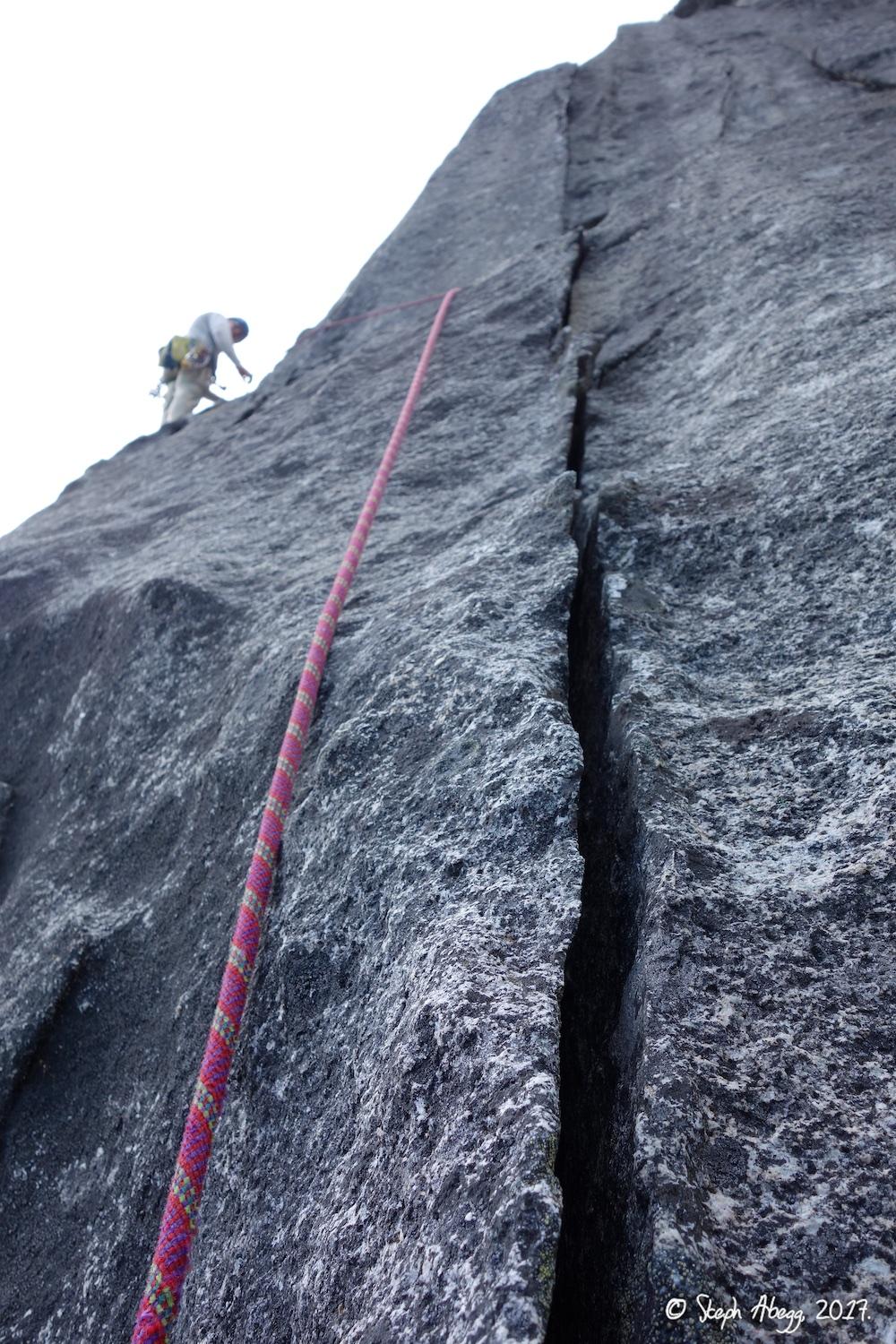 Flight of the Falcon