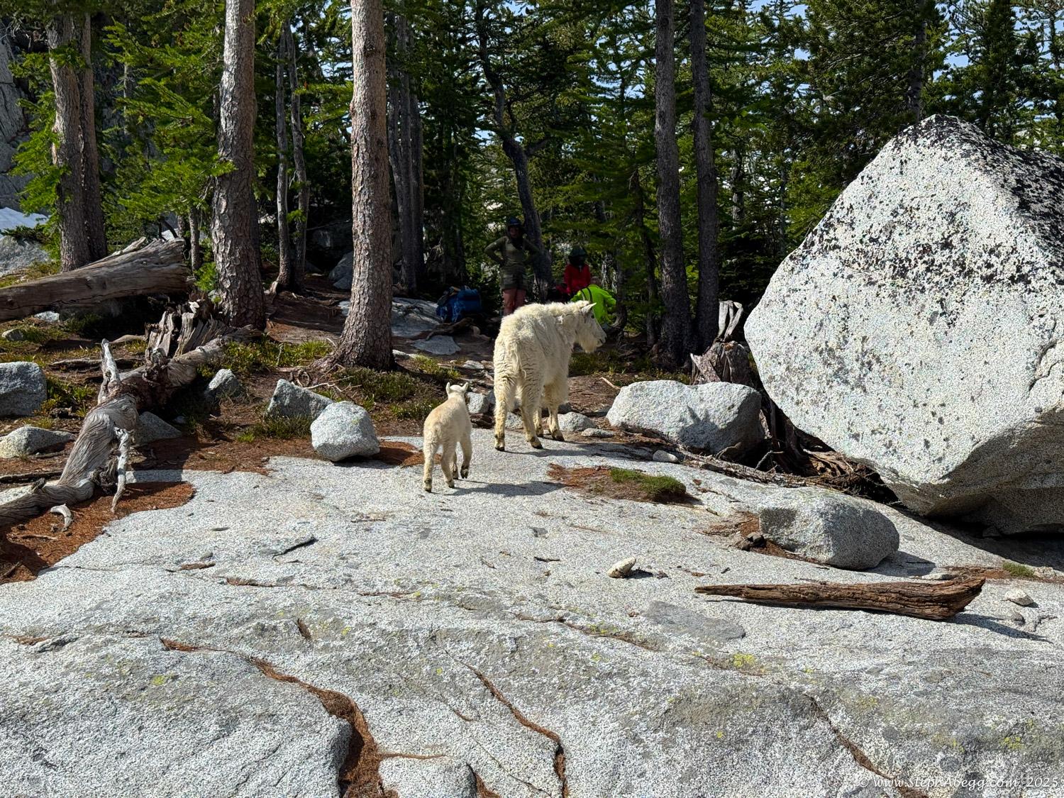 Climbing route photo by stephabegg at Stuart-Enchantments