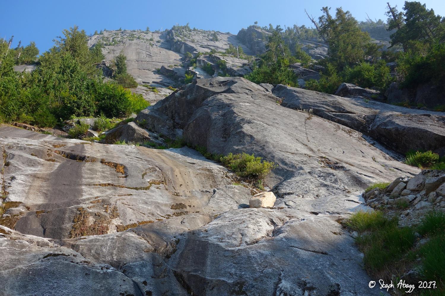 Flight of the Falcon