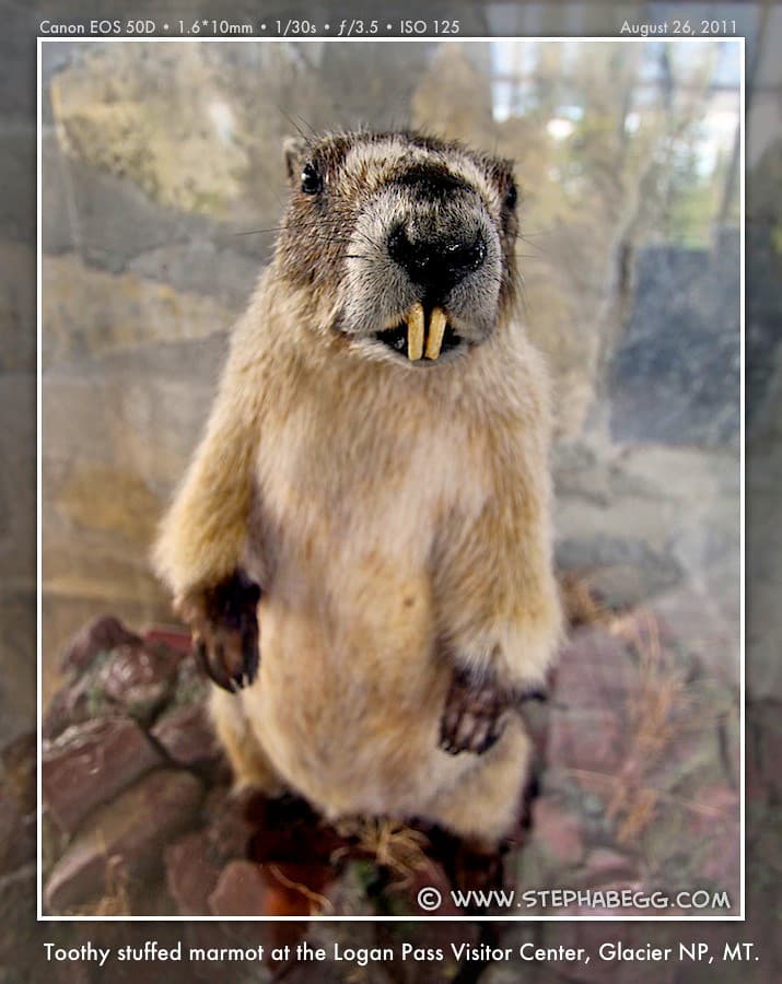 Glacier National Park