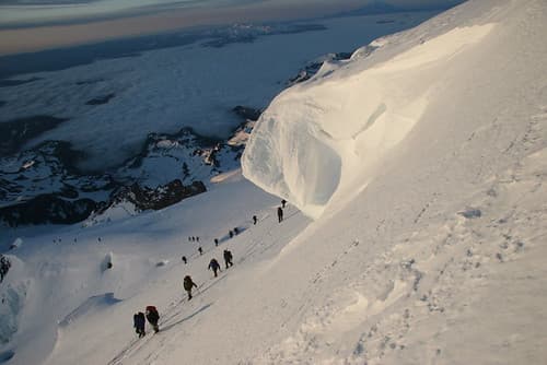 Disappointment Cleaver