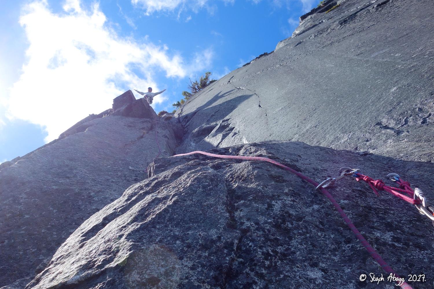 Flight of the Falcon