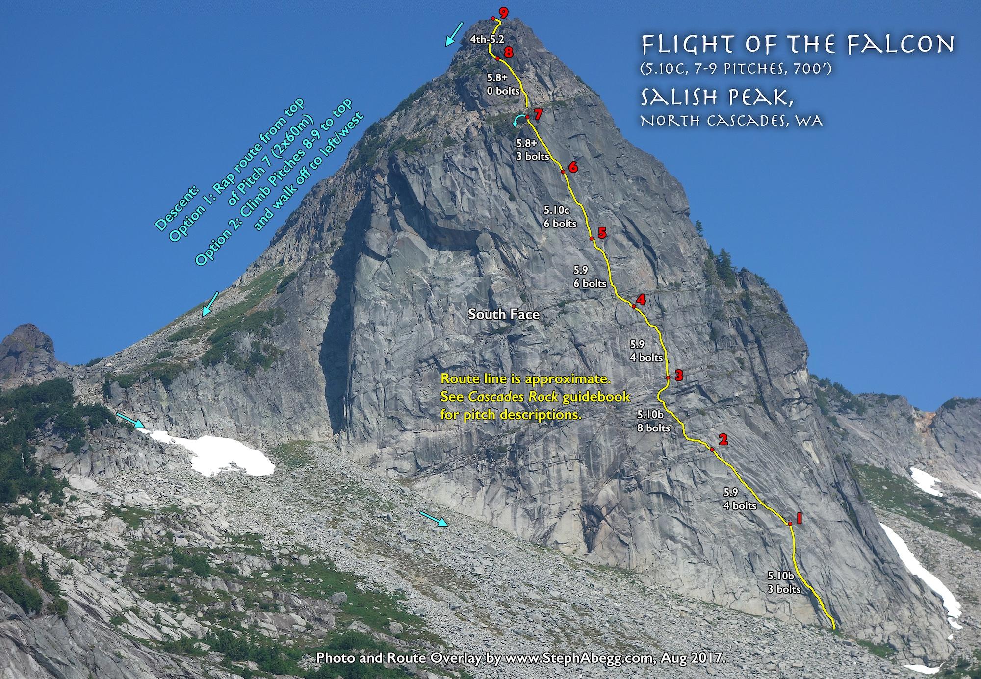 Flight of the Falcon