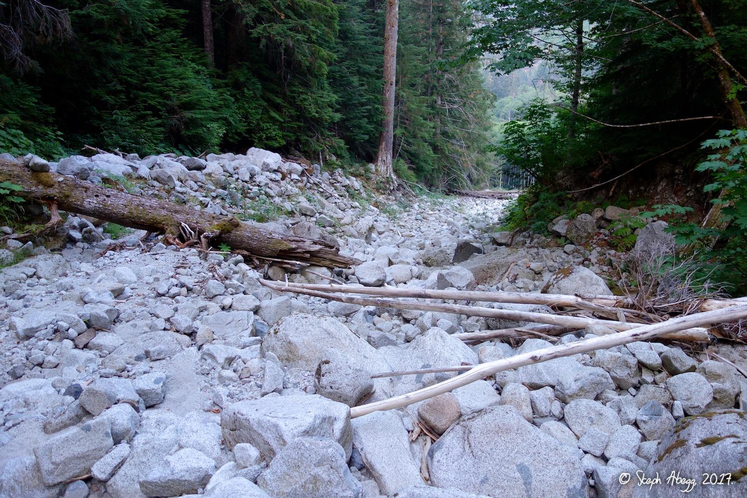 Flight of the Falcon