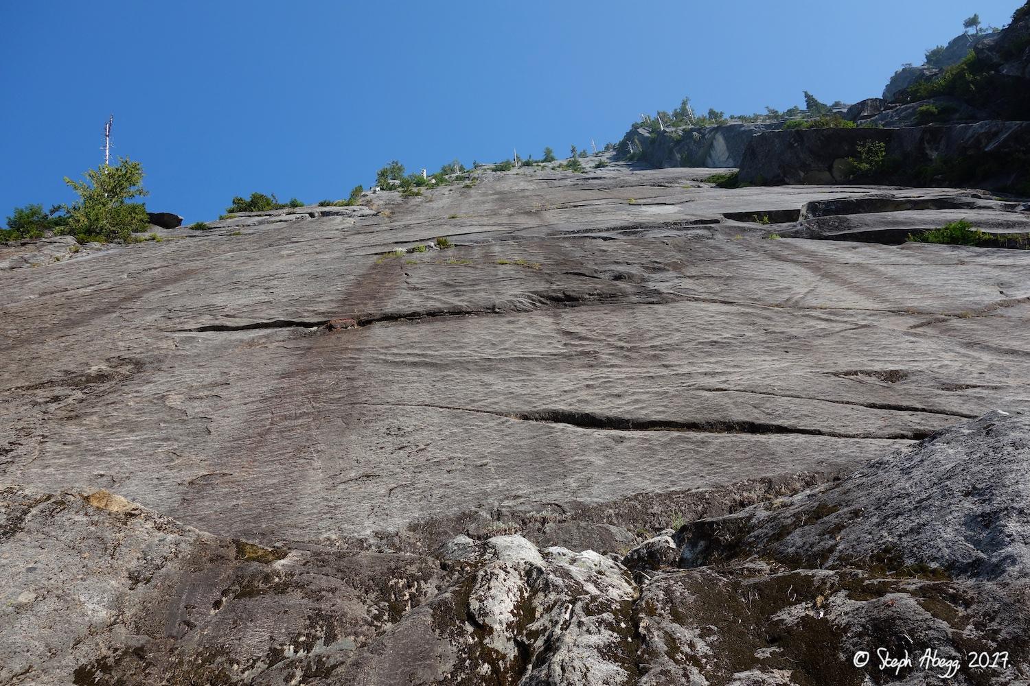 Flight of the Falcon